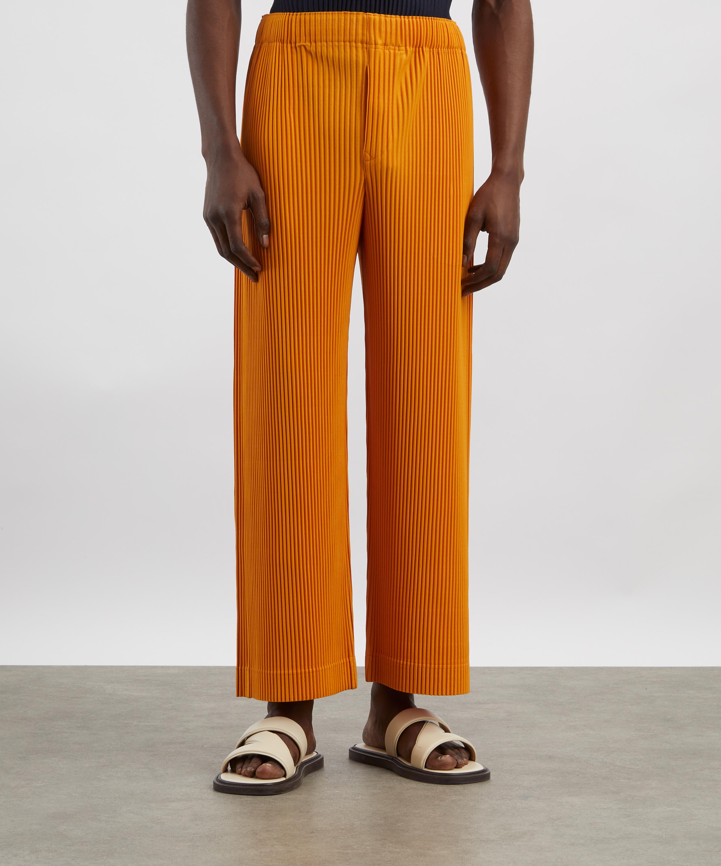 HOMME PLISSÉ ISSEY MIYAKE - MONTHLY COLOURS October Pleated Straight Leg Trousers image number 2