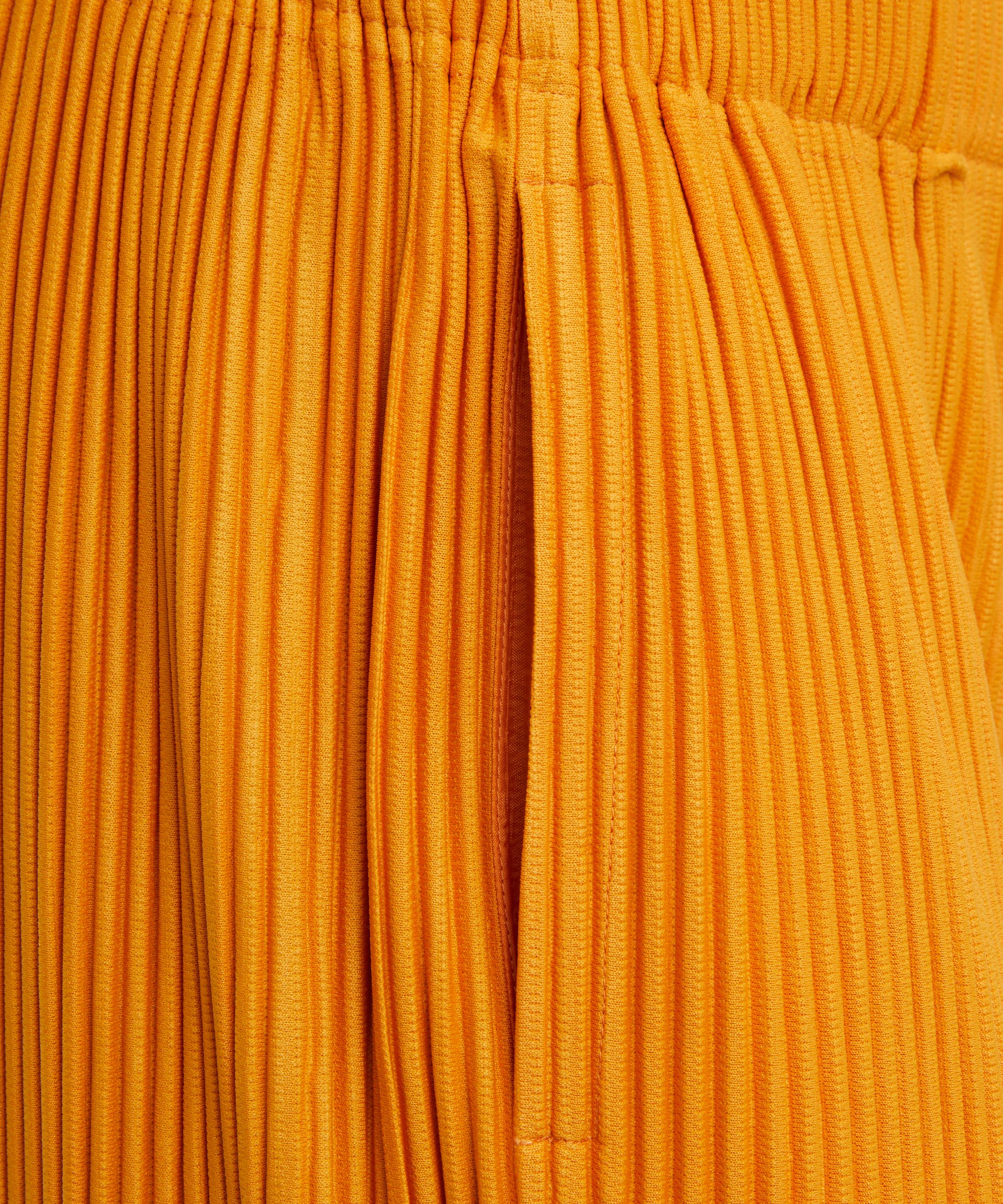 HOMME PLISSÉ ISSEY MIYAKE - MONTHLY COLOURS October Pleated Straight Leg Trousers image number 4