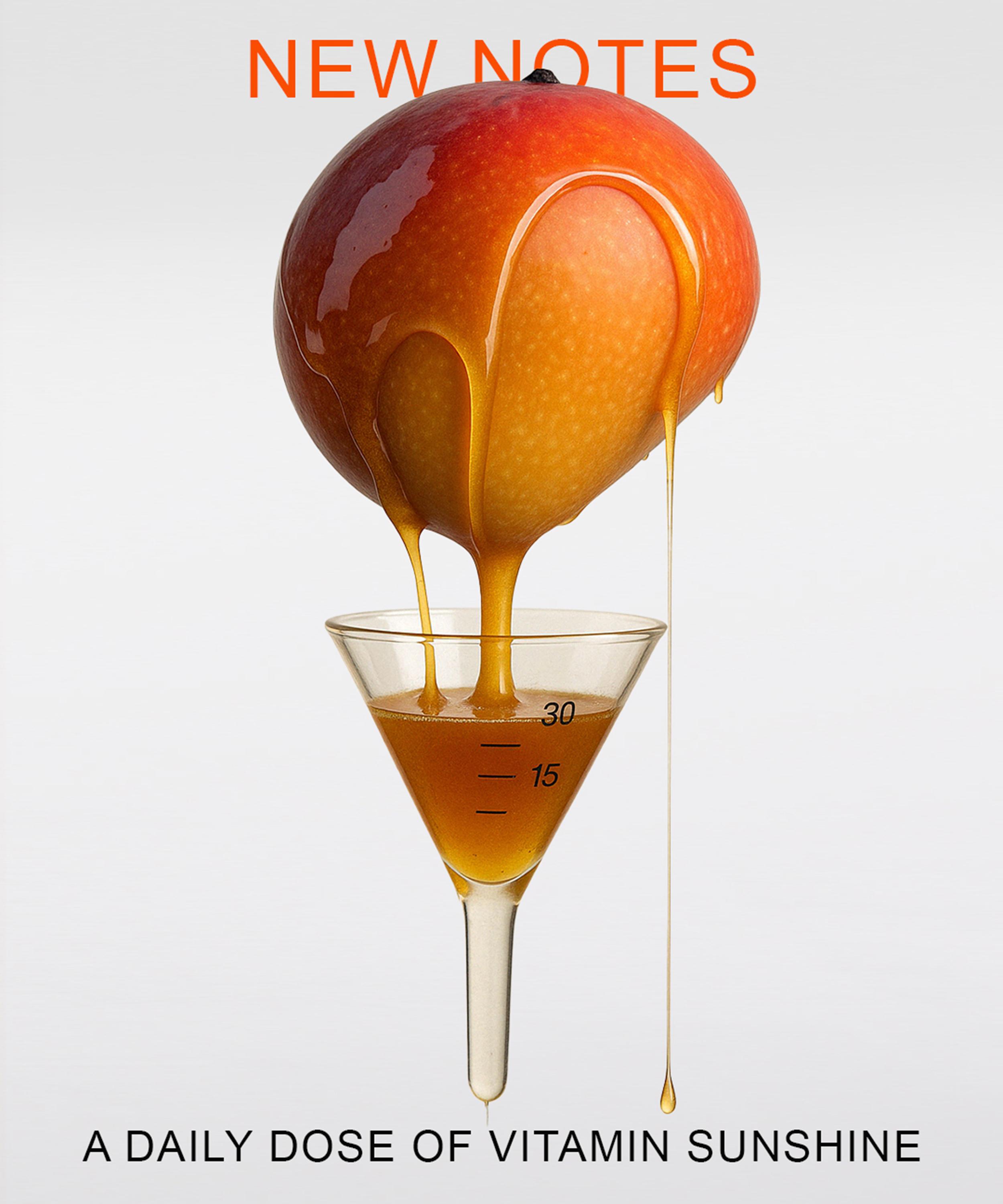 New Notes - Mangomina D Extrait de Parfum 60ml image number 3