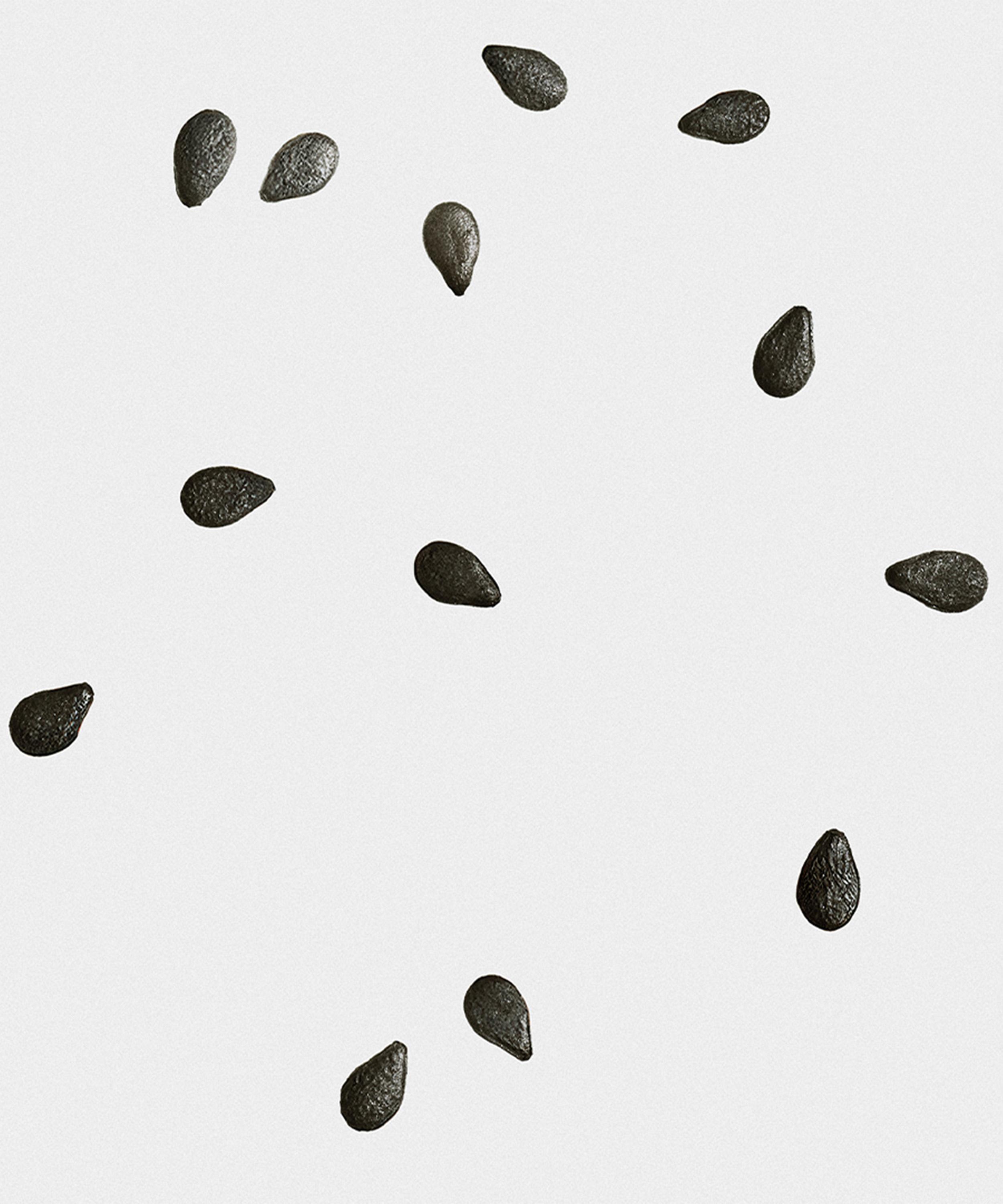 Loewe - Black Sesame Midi Candle 280g image number 2