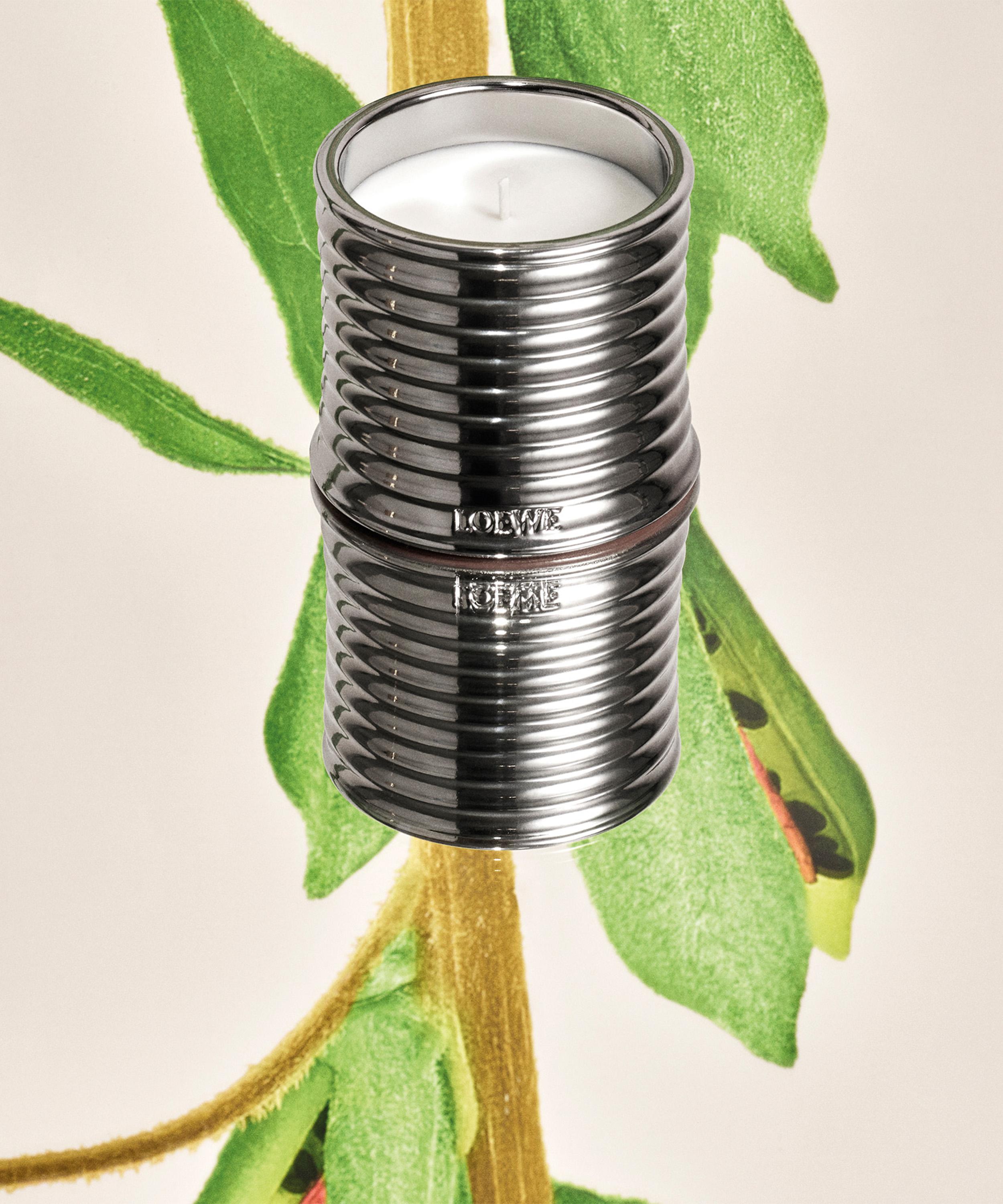 Loewe - Black Sesame Midi Candle 280g image number 3