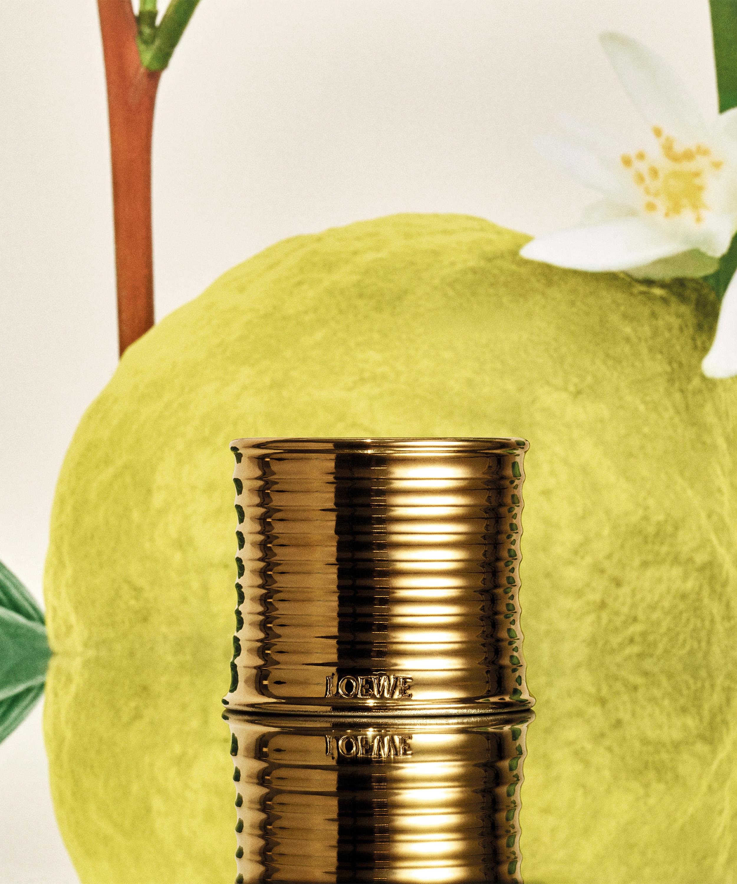 Loewe - Earl Grey Midi Candle 280g image number 3