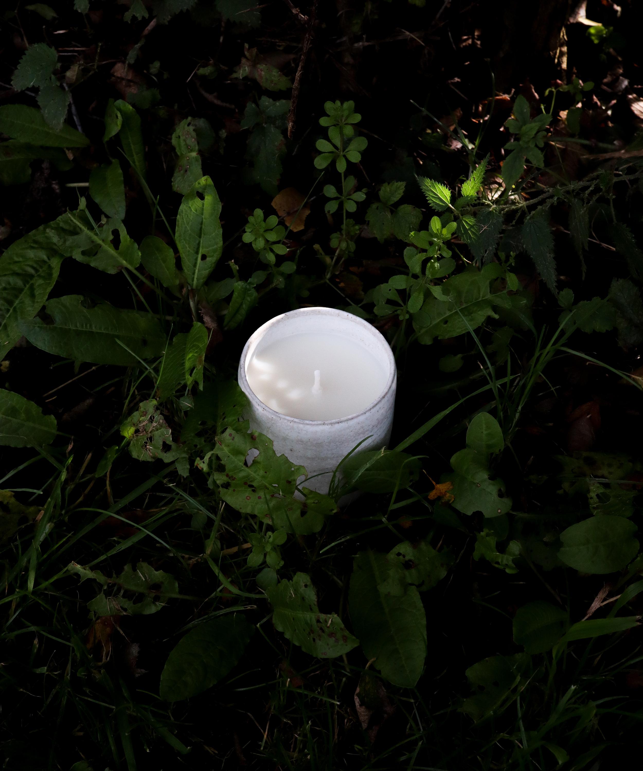 Pelegrims - Winter Vineyard Candle 190g image number 1