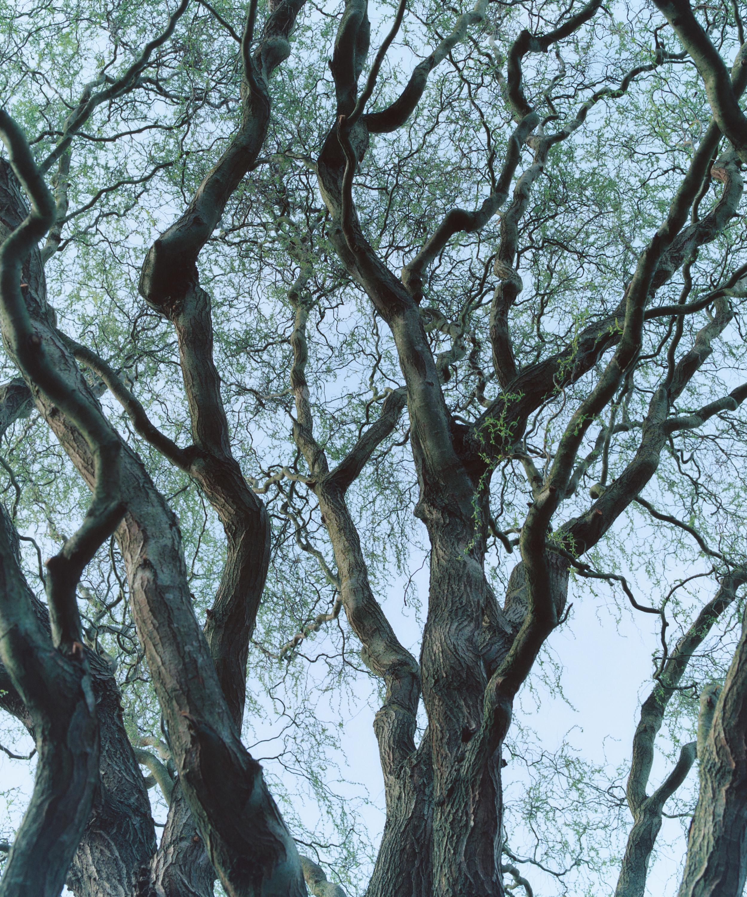 Byredo - Coin Laundry Parfum Room Spray 250ml image number 2