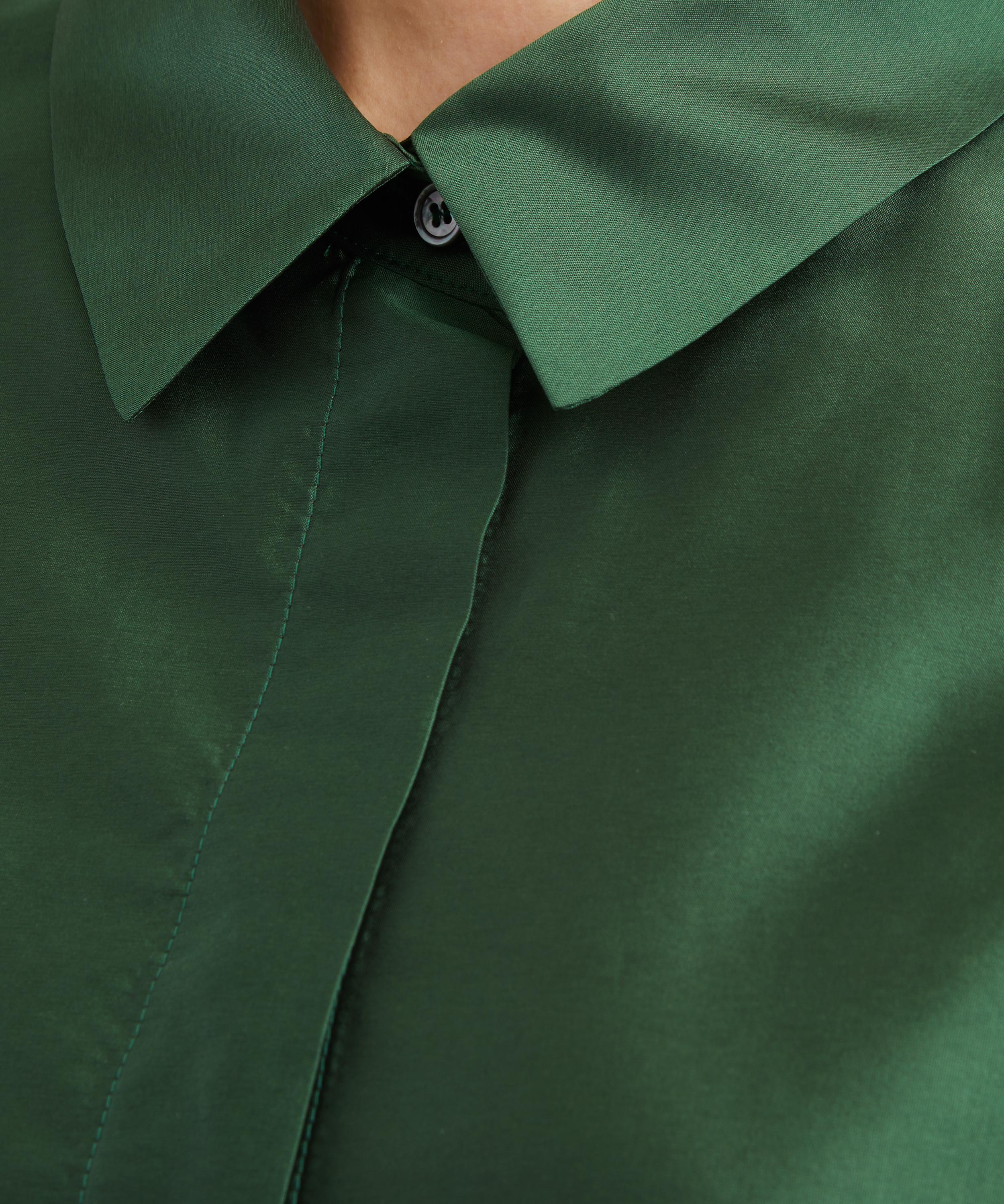 S Max Mara - Anna Green Organza Shirt Dress image number 4