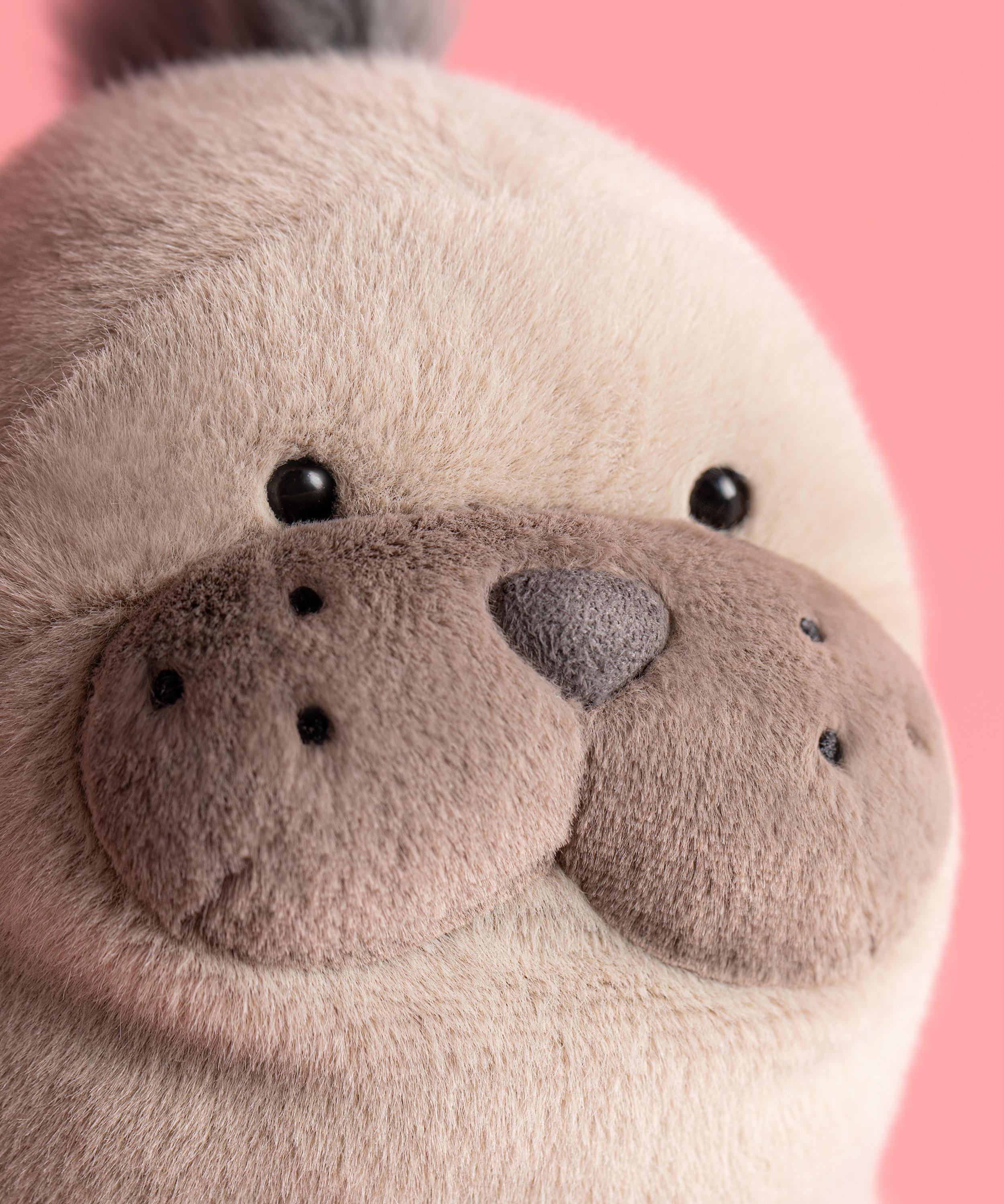 Jellycat - Roarwell Sea Lion Soft Toy image number 5