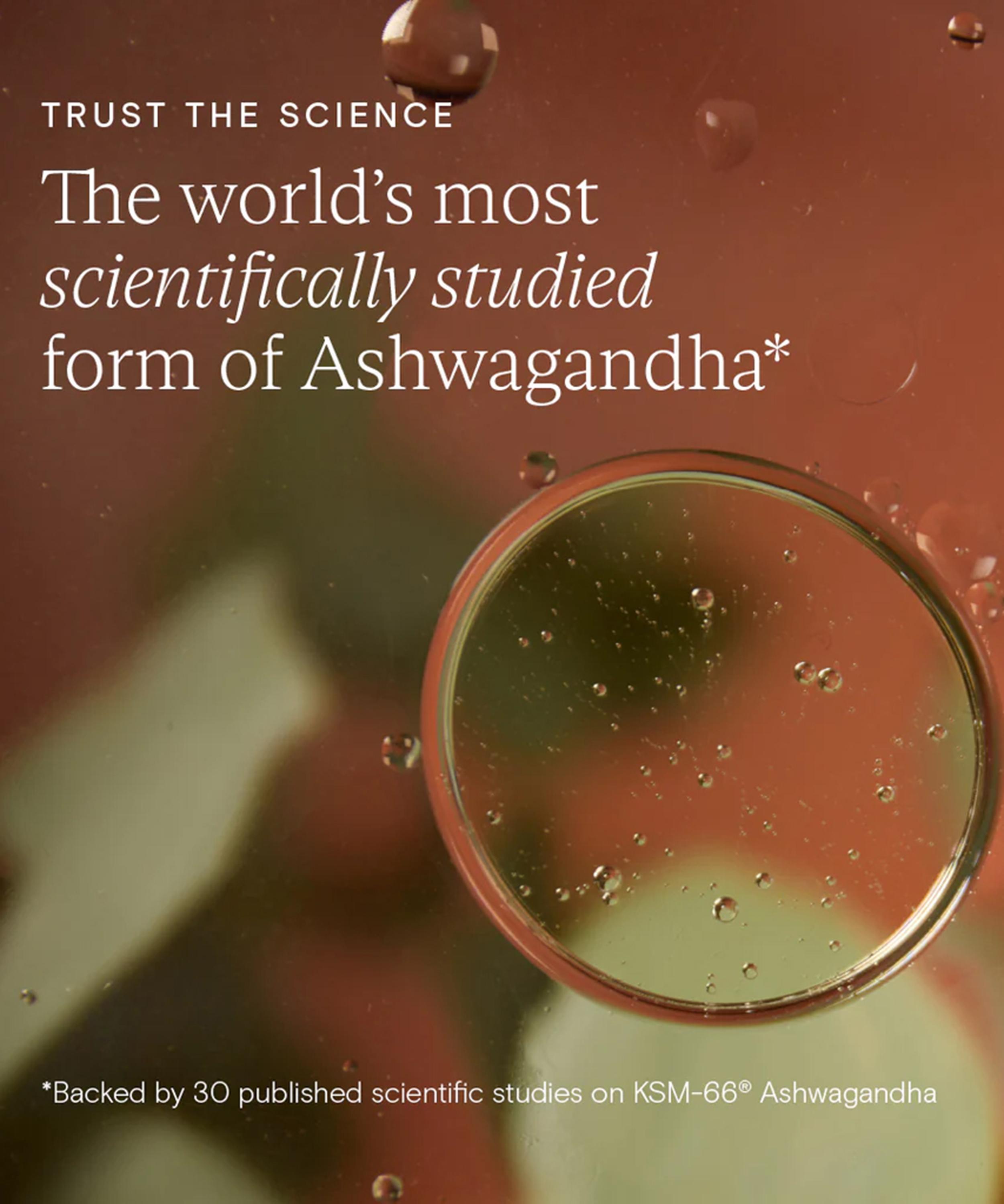 Wild Nutrition - Food Grown KSM-66 Ashwagandha Plus 60 Capsules image number 5