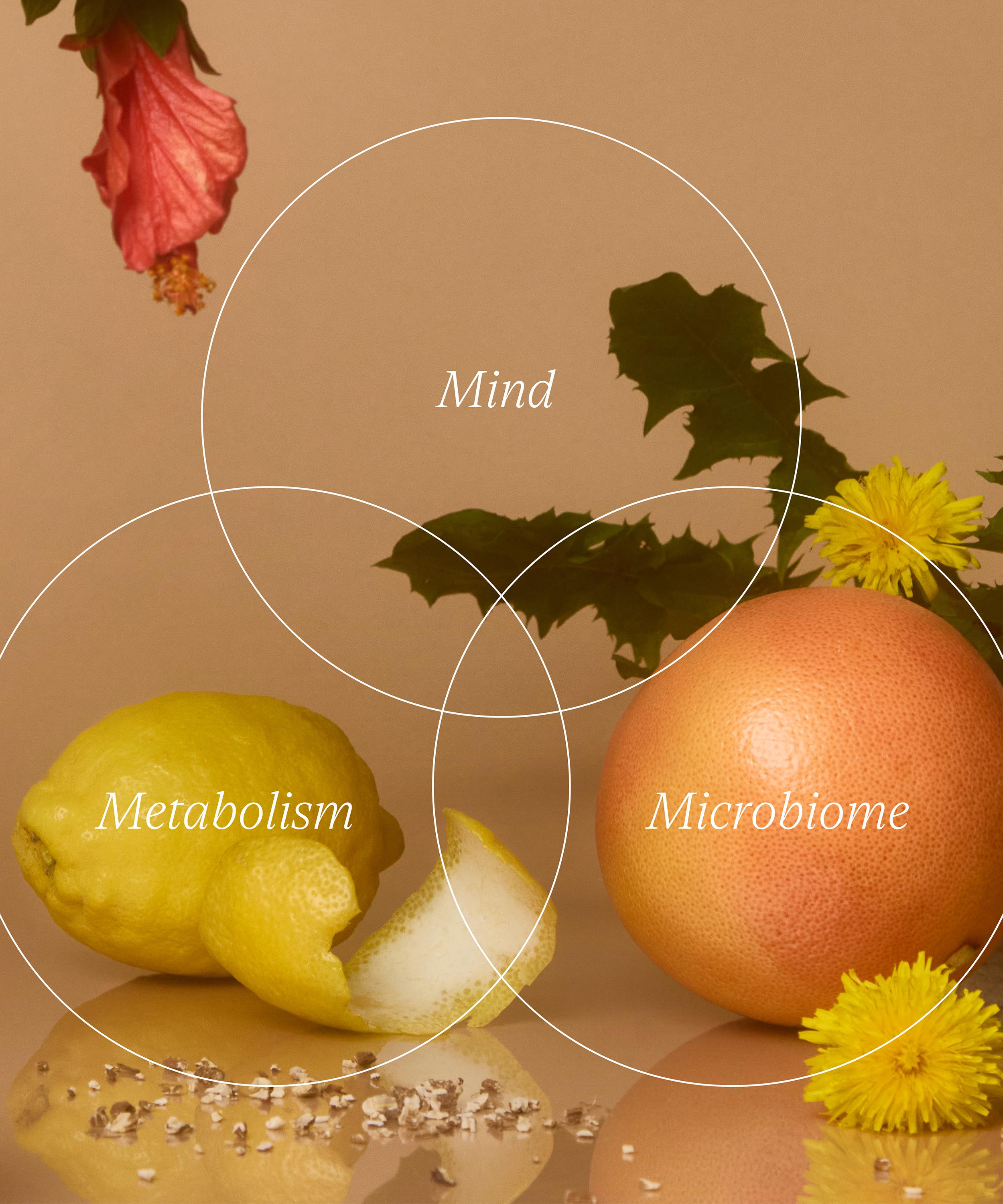 Wild Nutrition - Food Grown Weight Management Support 90 Capsules image number 4