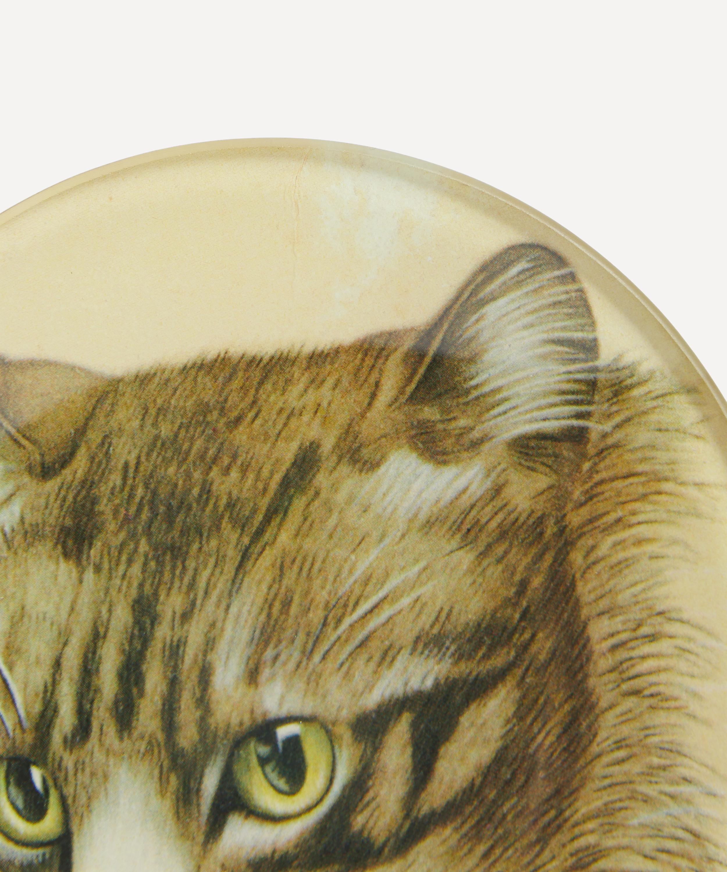 John Derian - Cat Portrait Round Plate image number 2