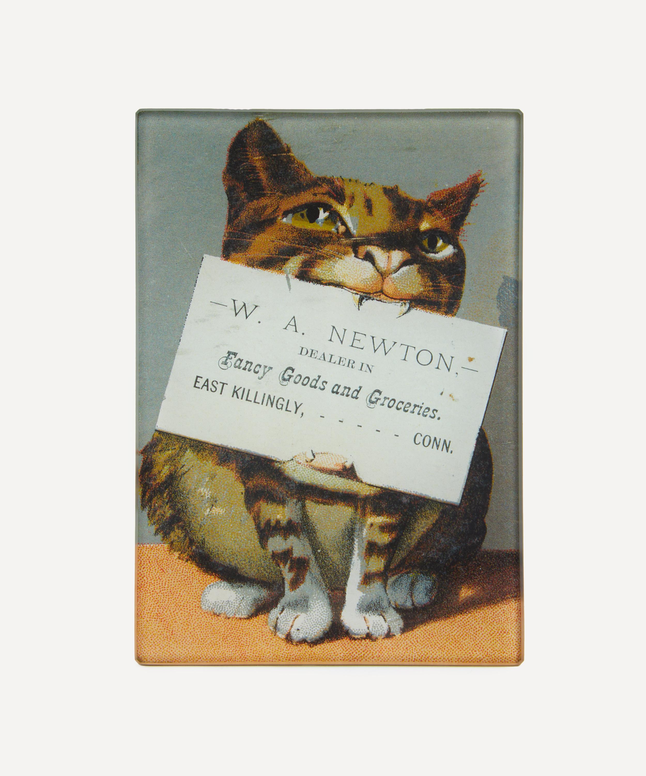 John Derian - Newton Mini Tray