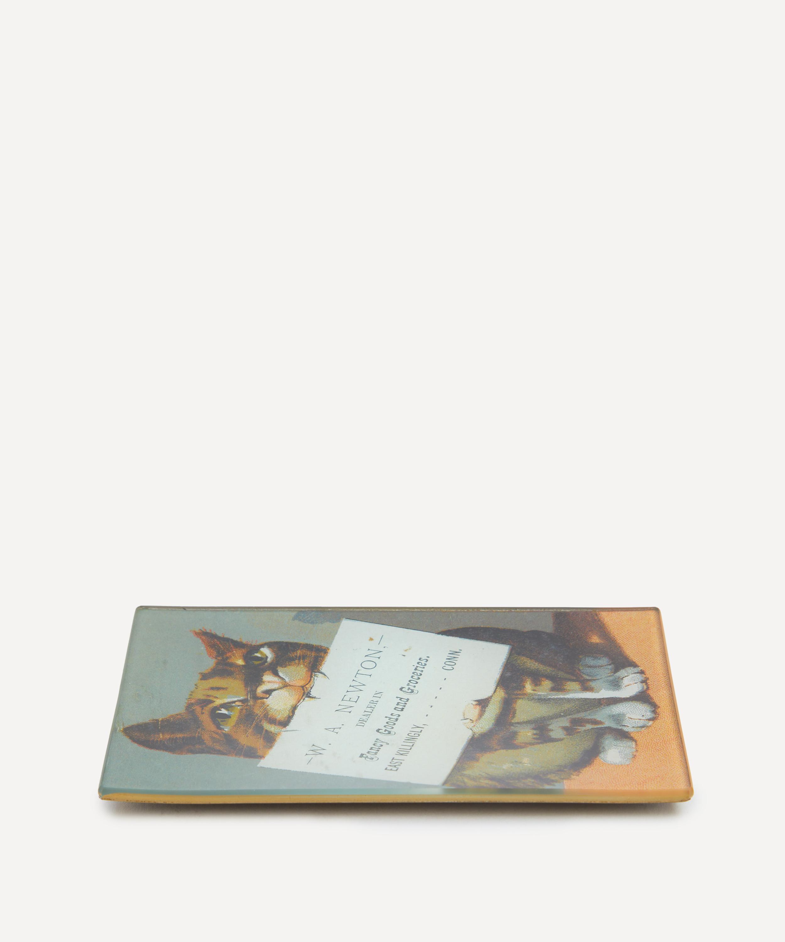 John Derian - Newton Mini Tray image number 1