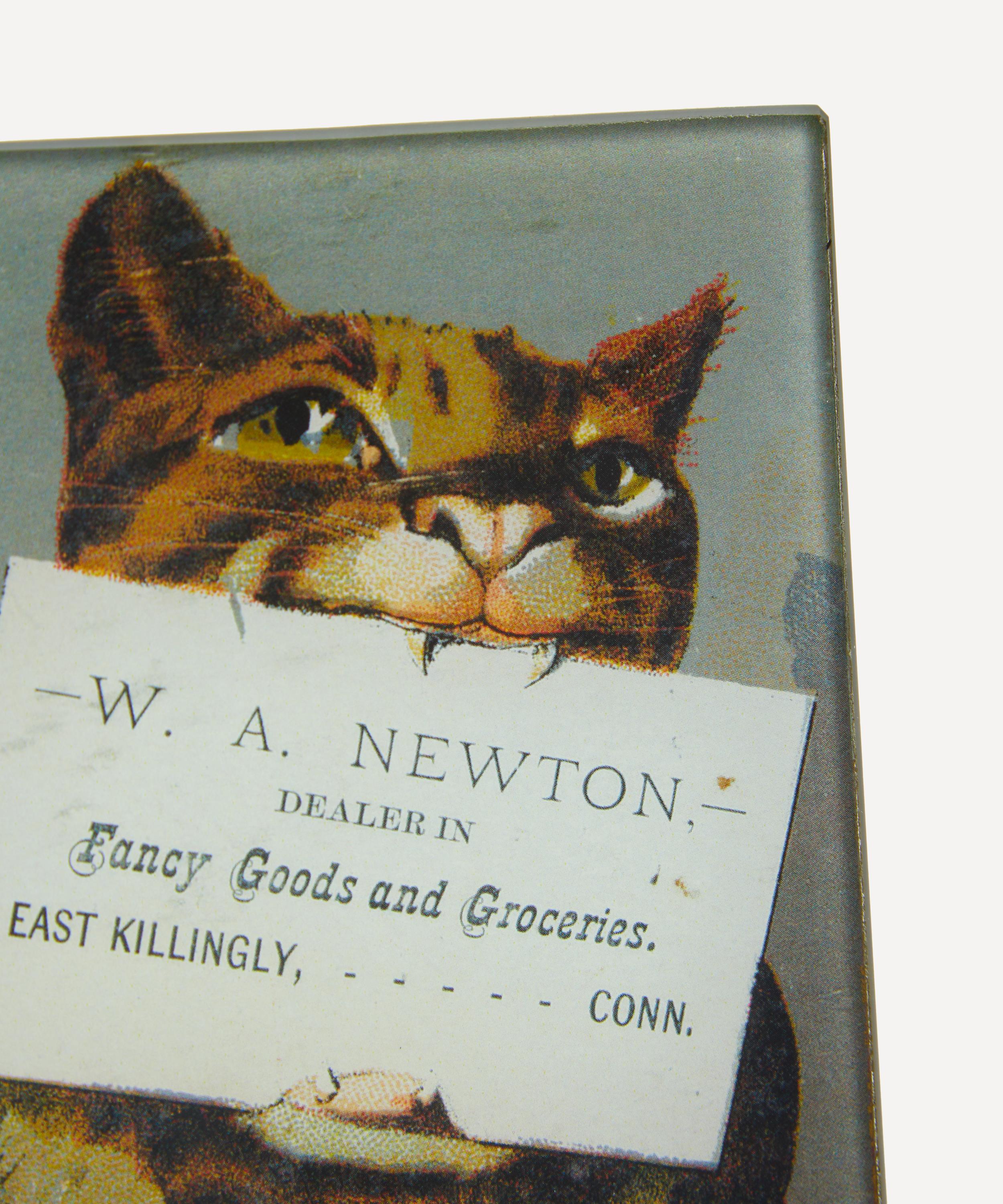 John Derian - Newton Mini Tray image number 2