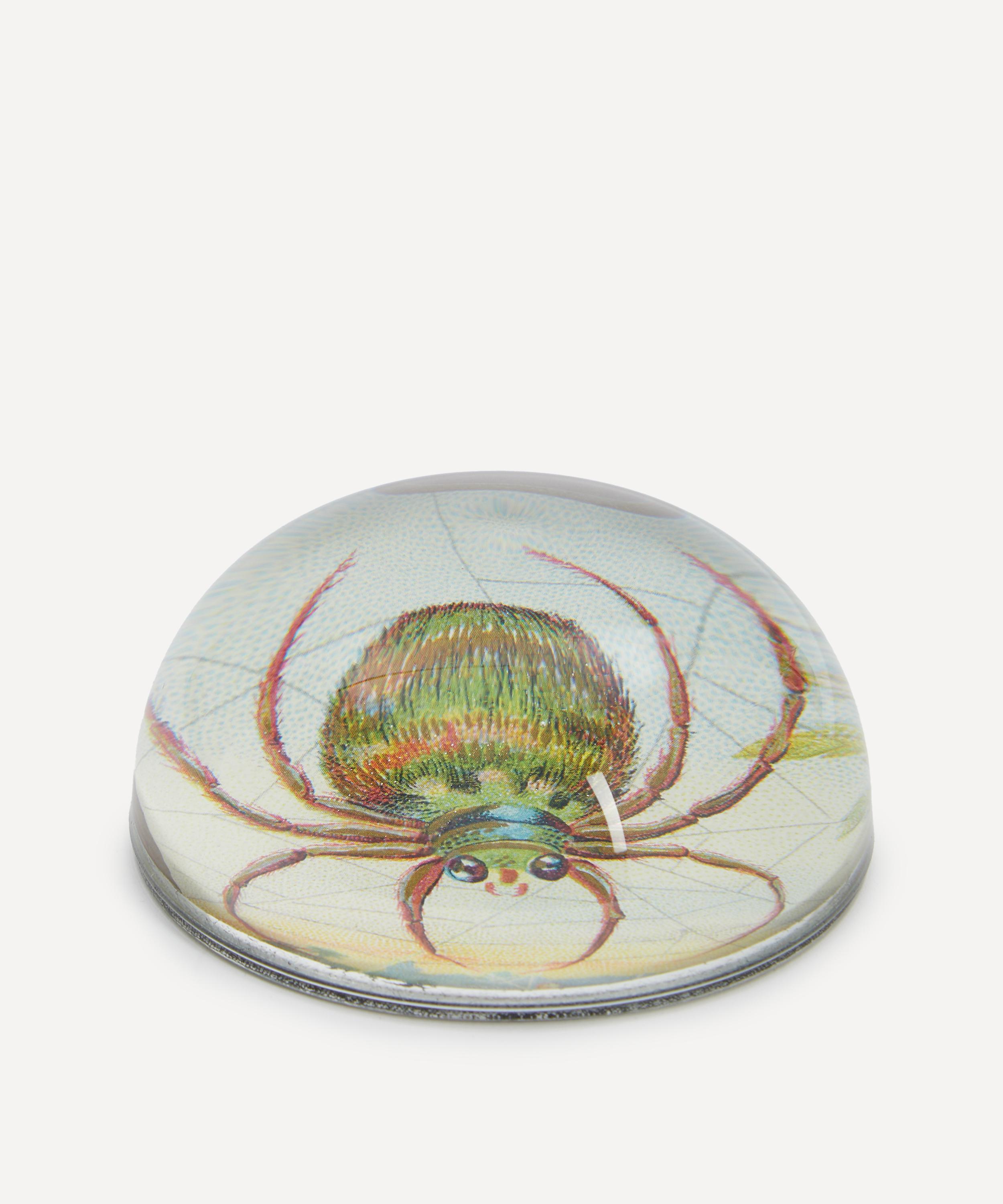 John Derian - Big Spider Web Dome Paperweight