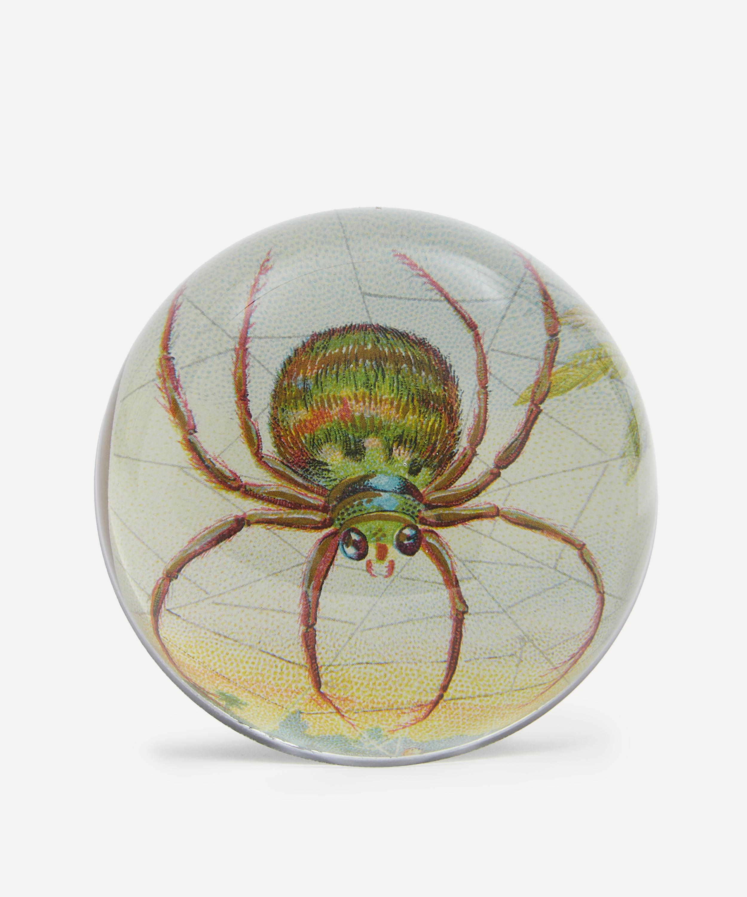 John Derian - Big Spider Web Dome Paperweight image number 1