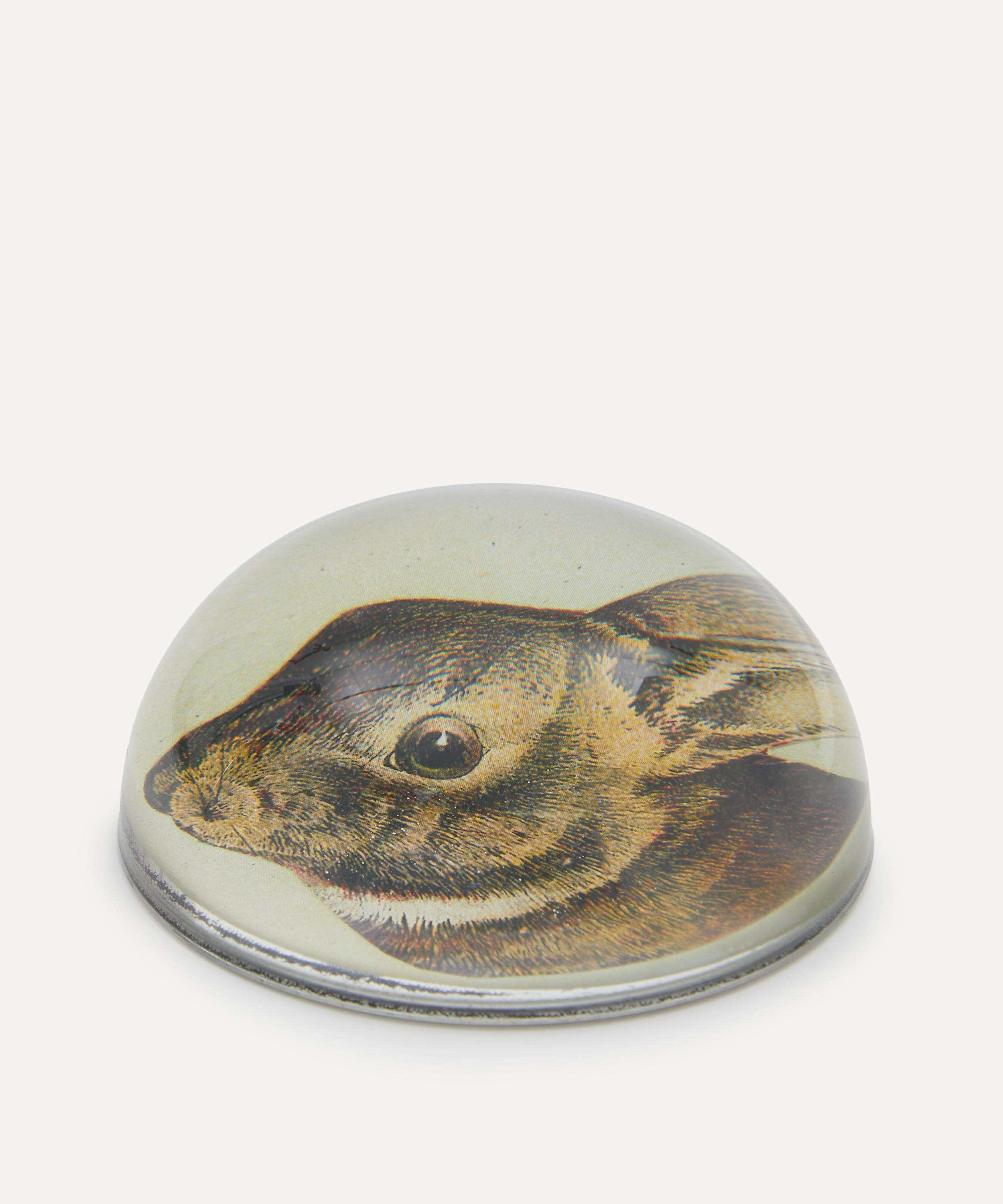 John Derian - Scrapbook Hare Dome Paperweight