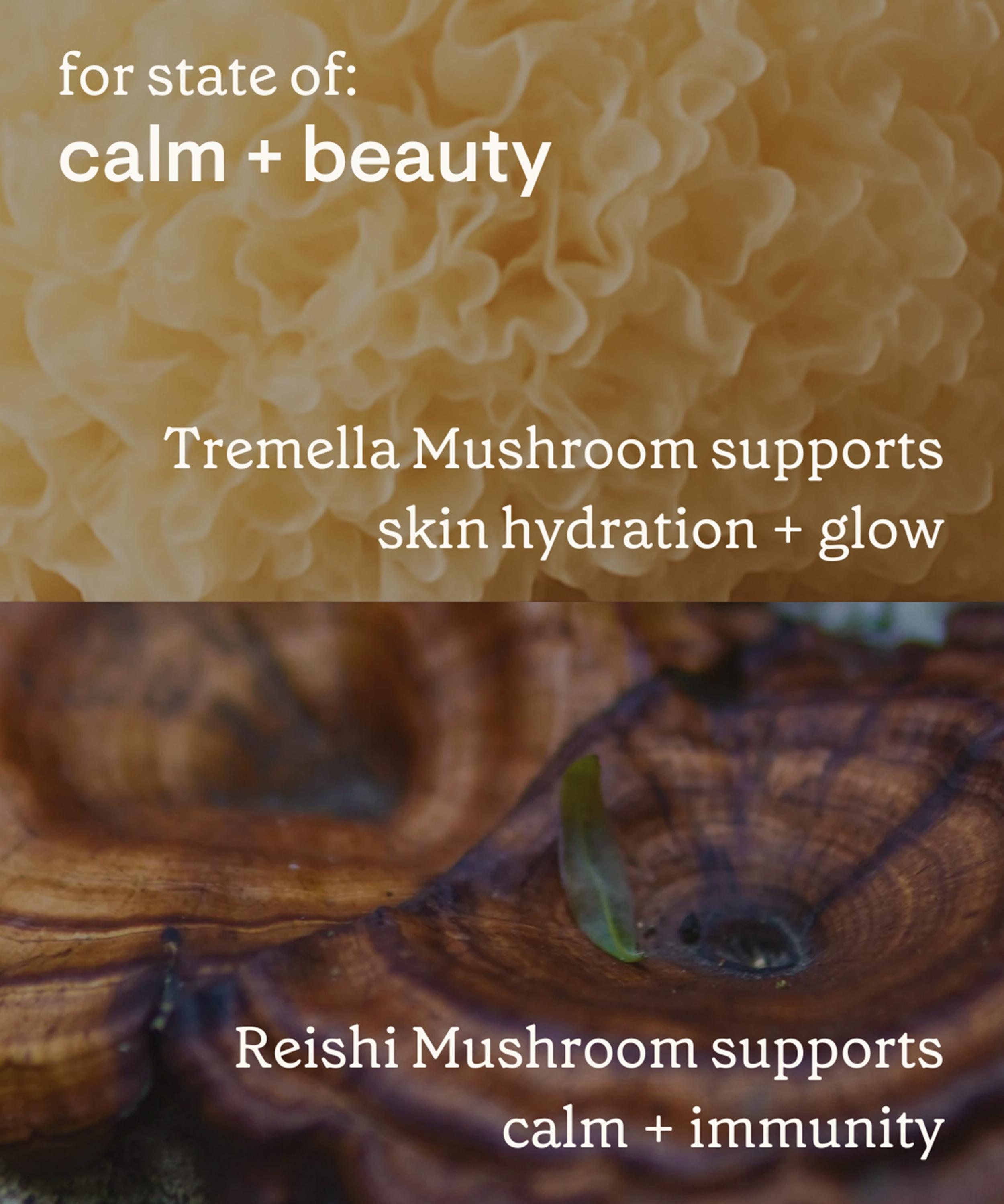 everystate - Cacao Mushroom Super Blend 200g image number 3