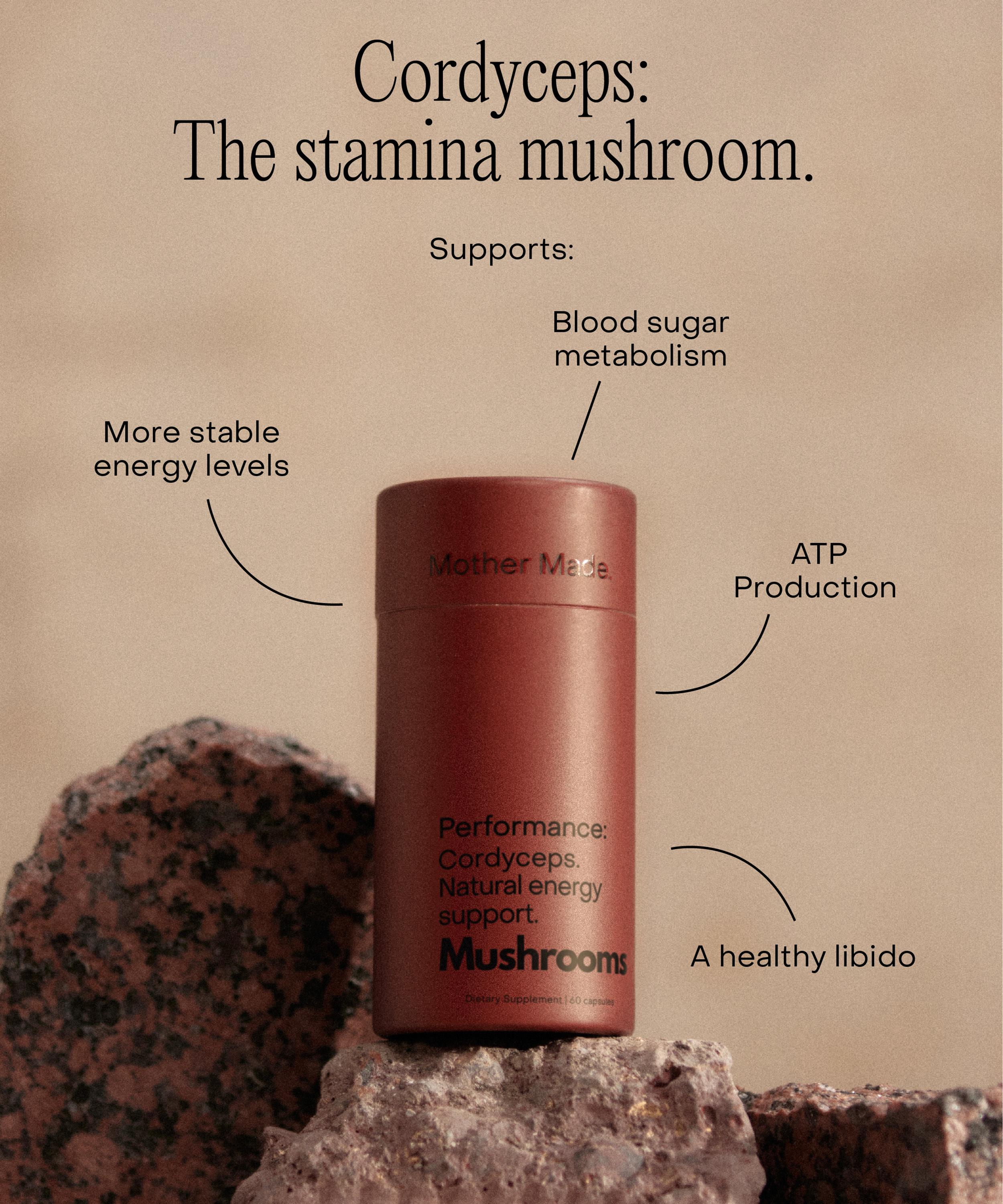 Mother Made - Performance Cordyceps 60 Capsules image number 2