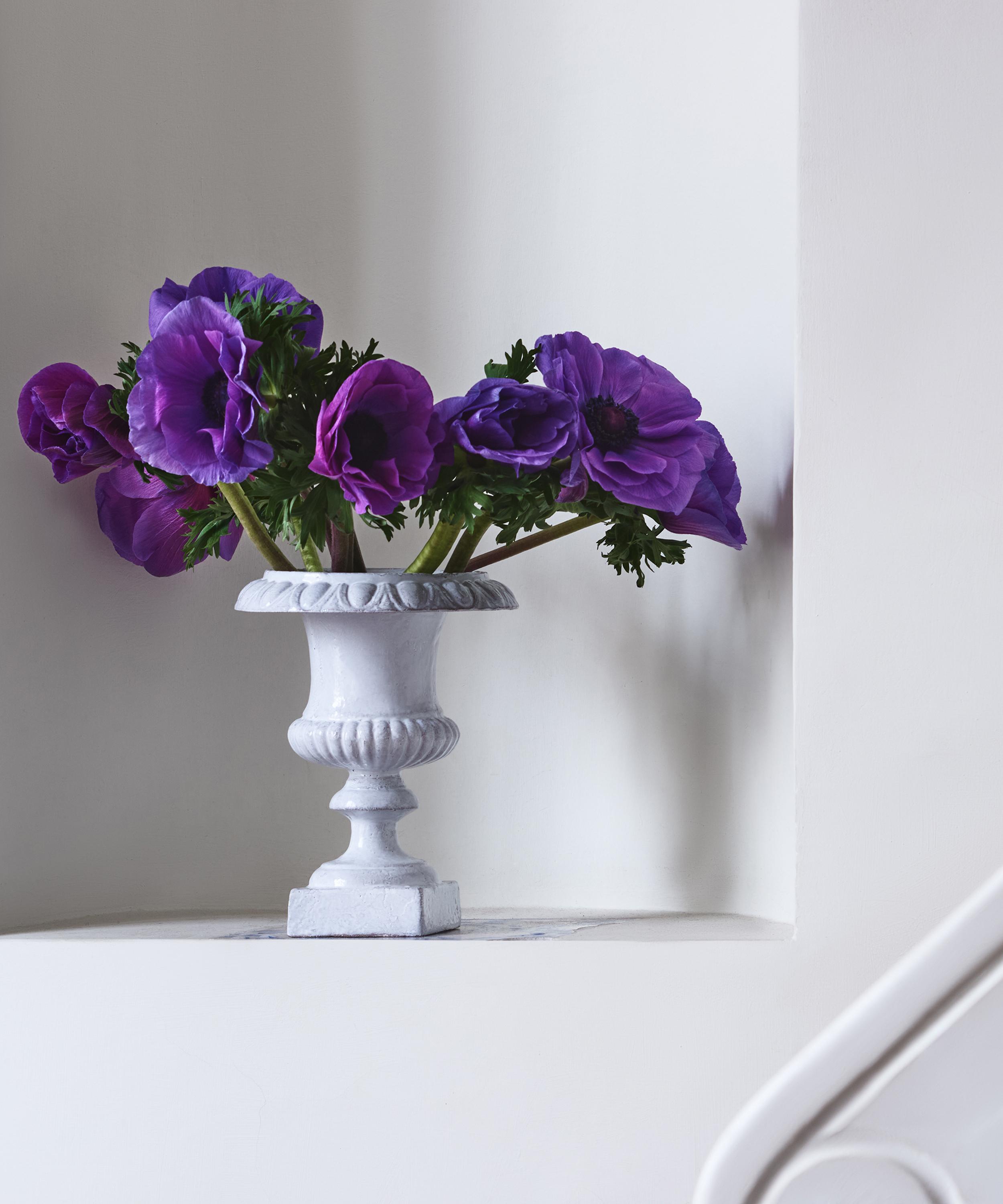 Astier de Villatte - Small Medicis Vase image number 1