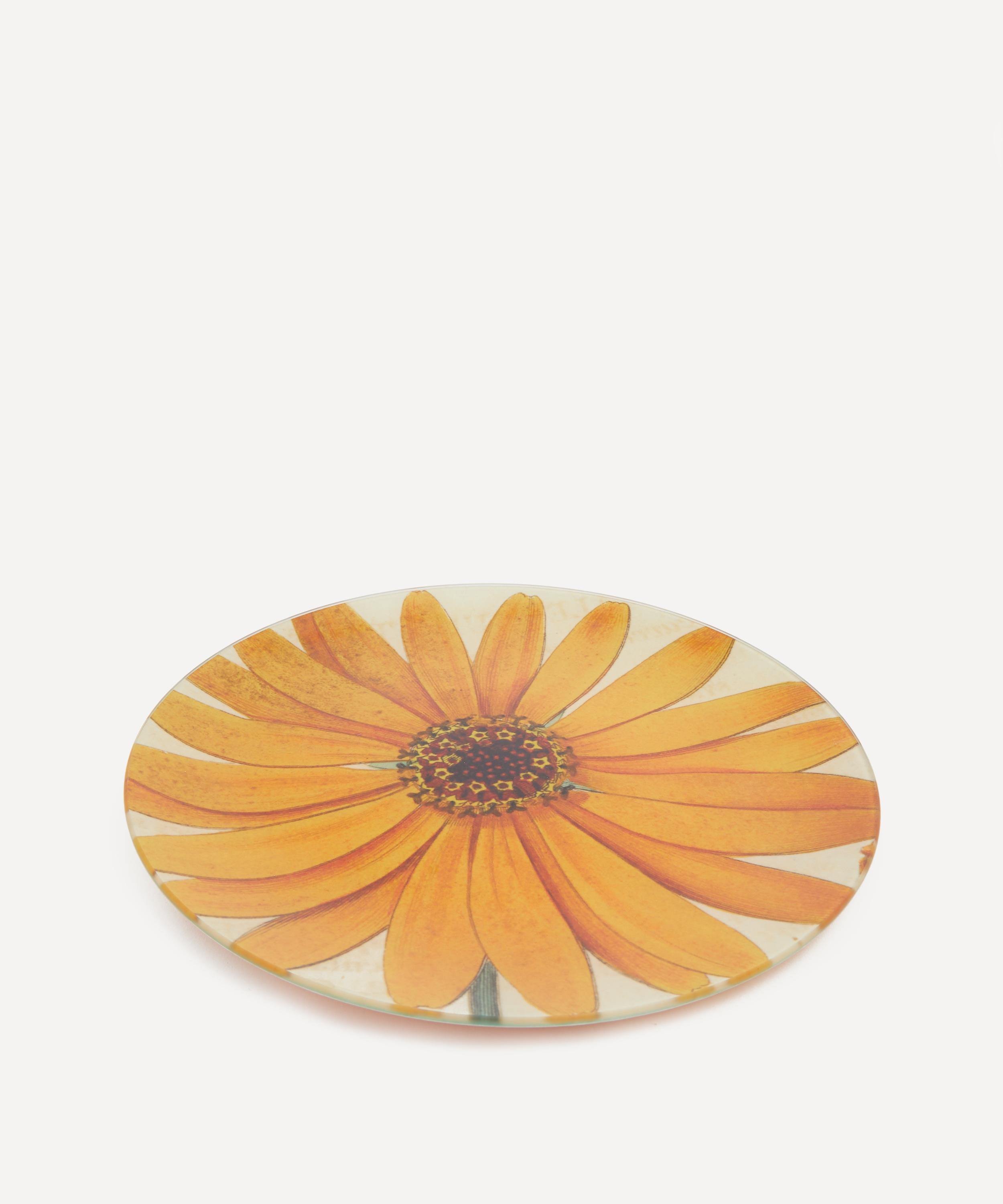 John Derian - Gerber Round Plate