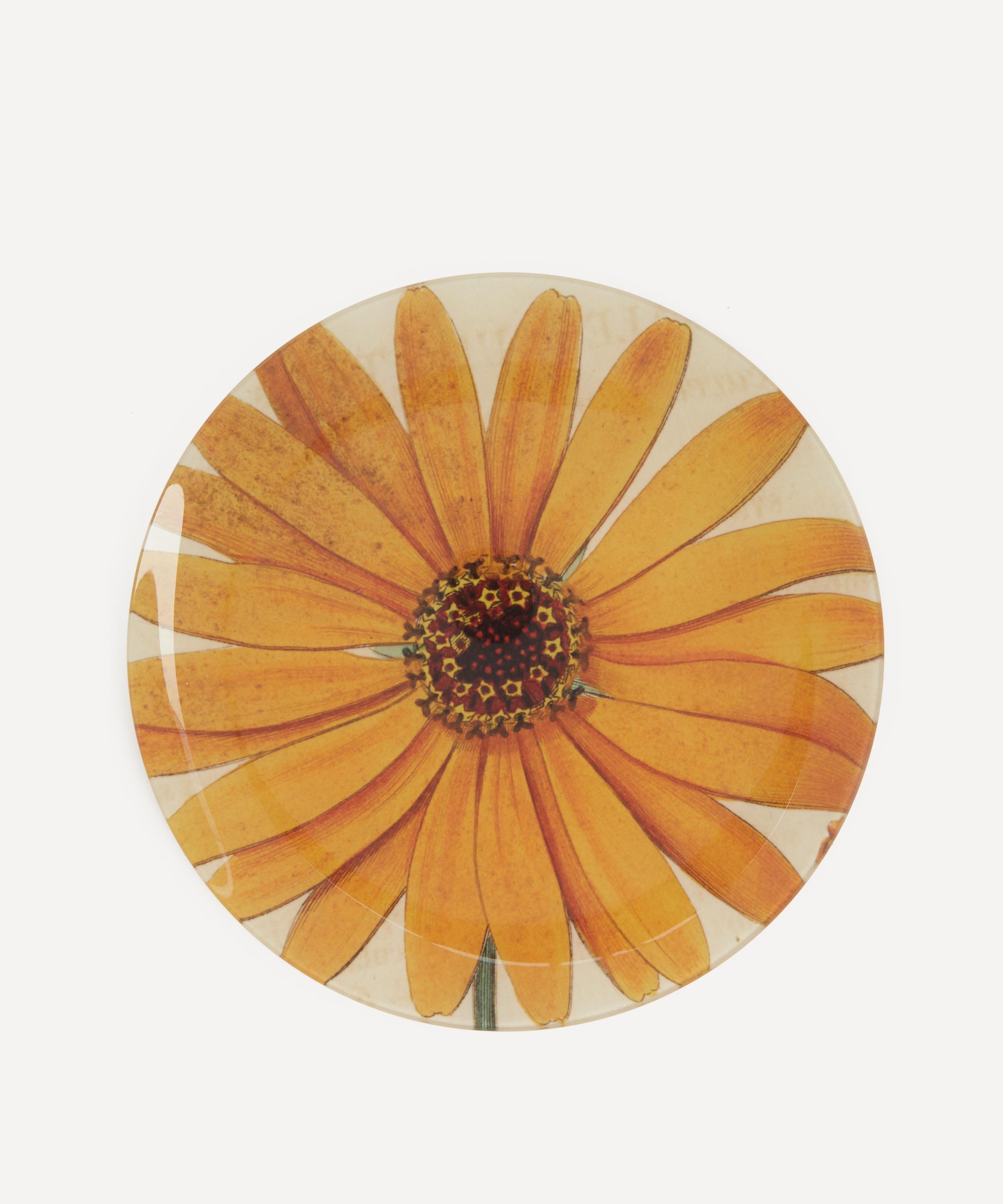 John Derian - Gerber Round Plate image number 1