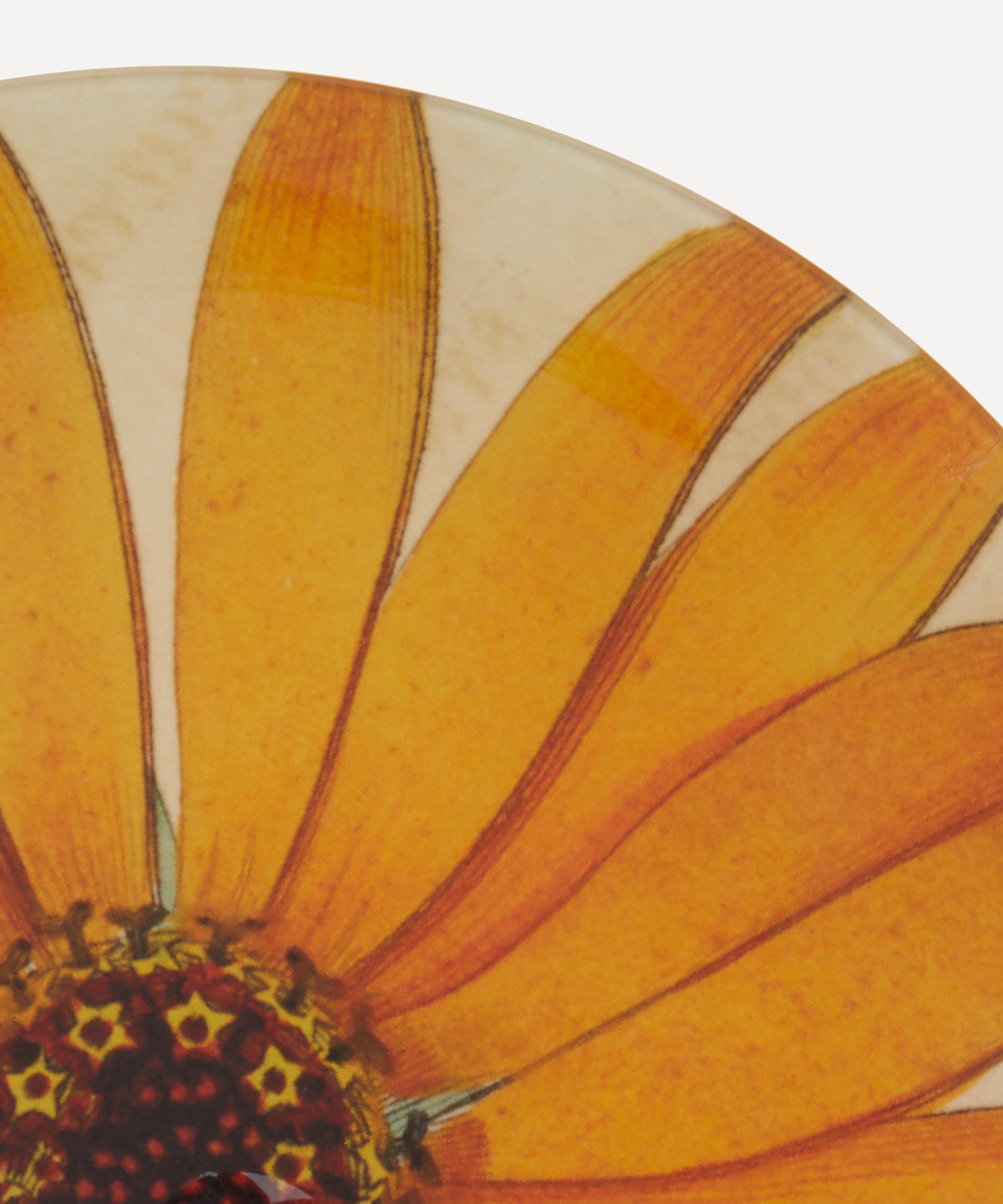 John Derian - Gerber Round Plate image number 2