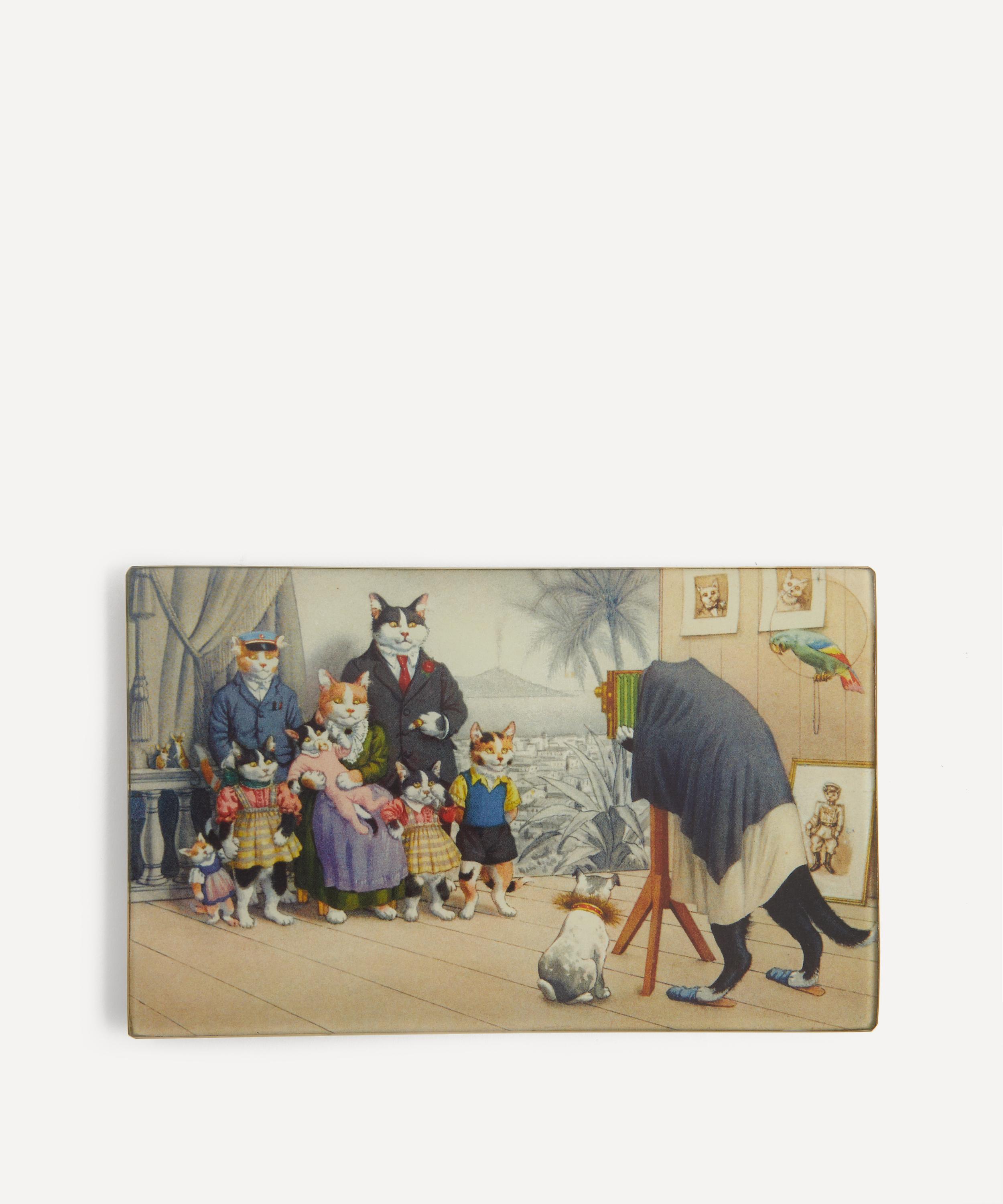 John Derian - Photo Rectangle Tray image number 1
