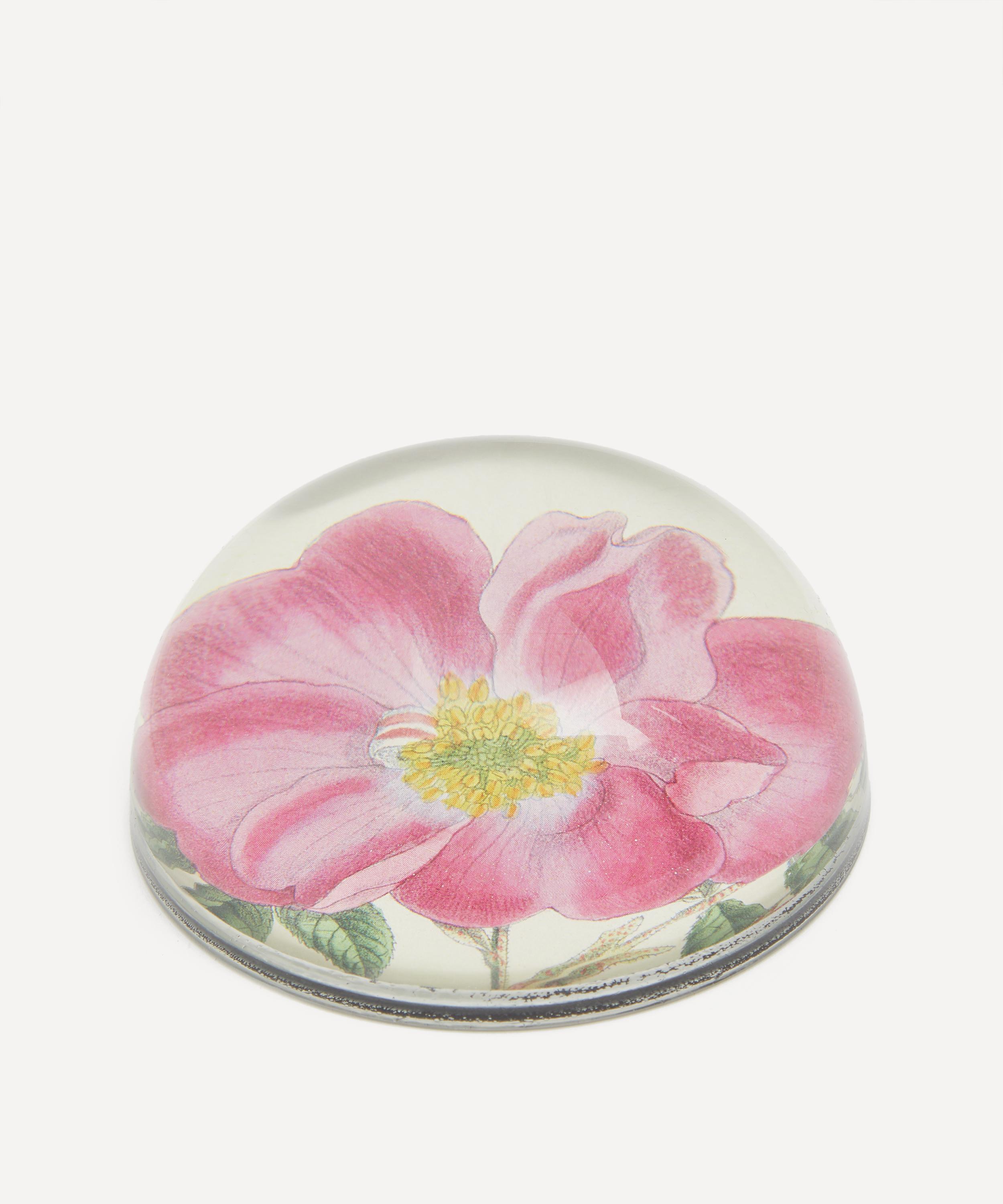John Derian - Rose Incarnata Dome Paperweight