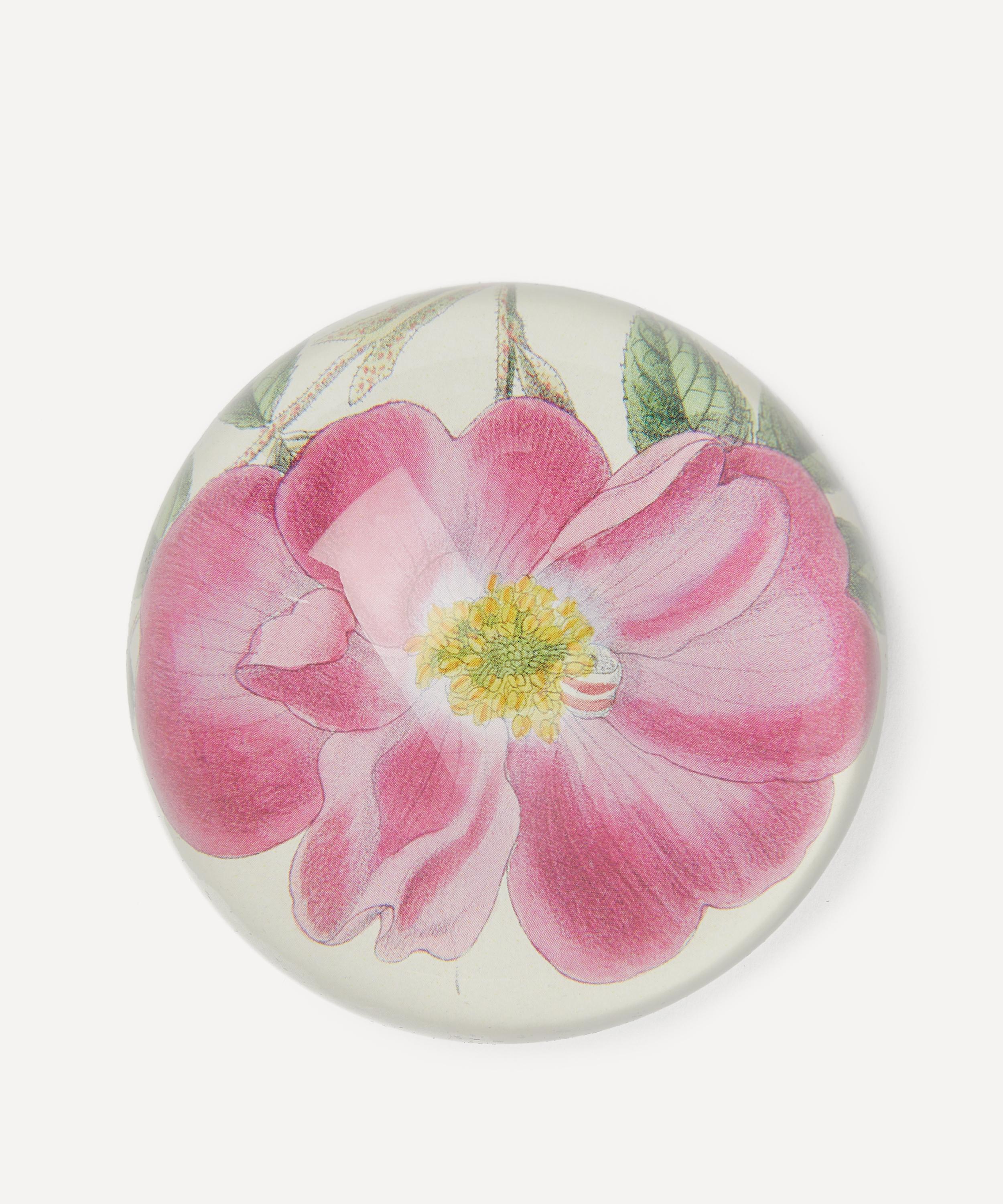 John Derian - Rose Incarnata Dome Paperweight image number 1