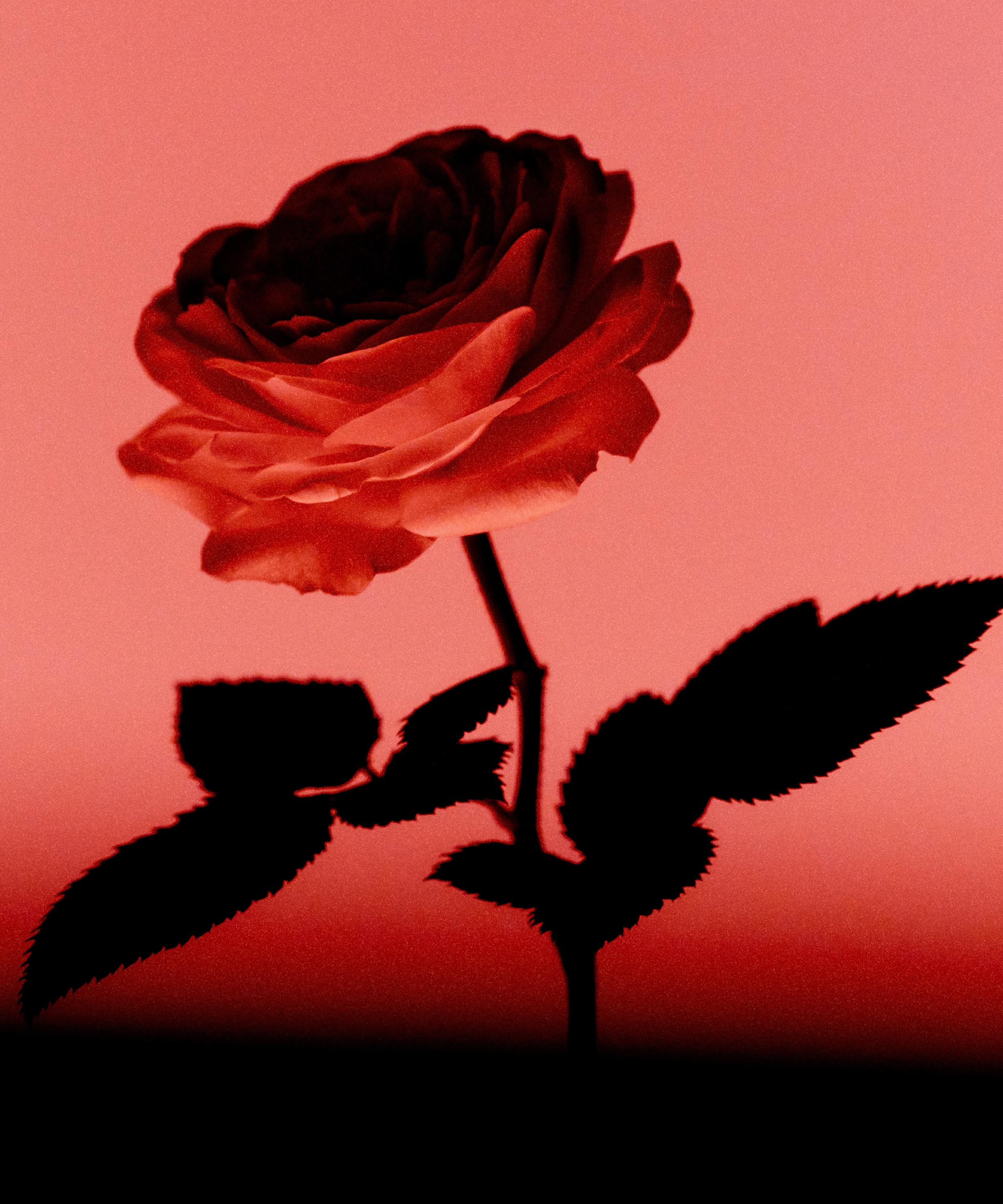 Fr&eacute;d&eacute;ric Malle - Contre-Jour Eau de Parfum 10ml image number 2