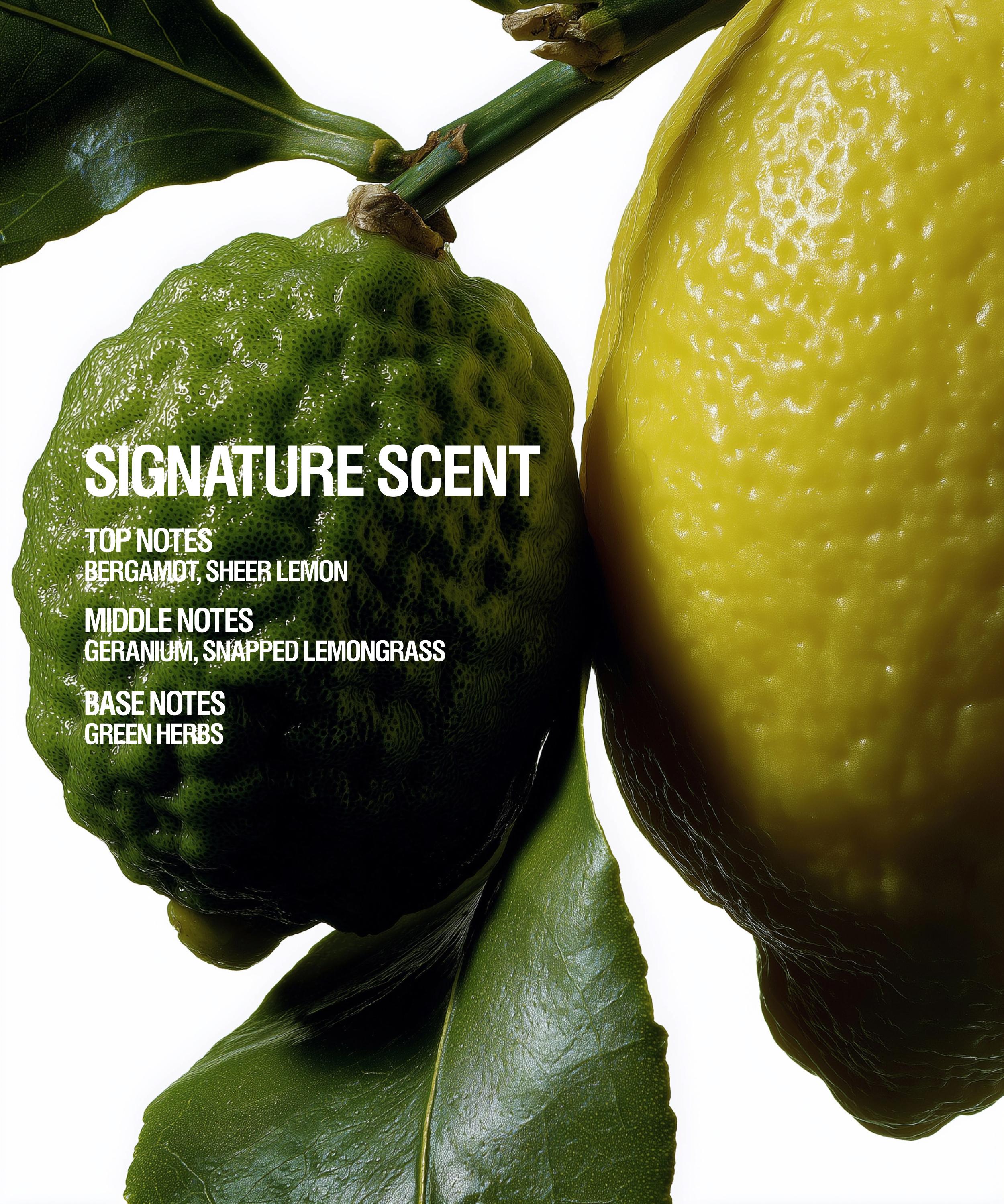 Grown Alchemist - Resurfacing Targeted Body Cleanser 300ml image number 6