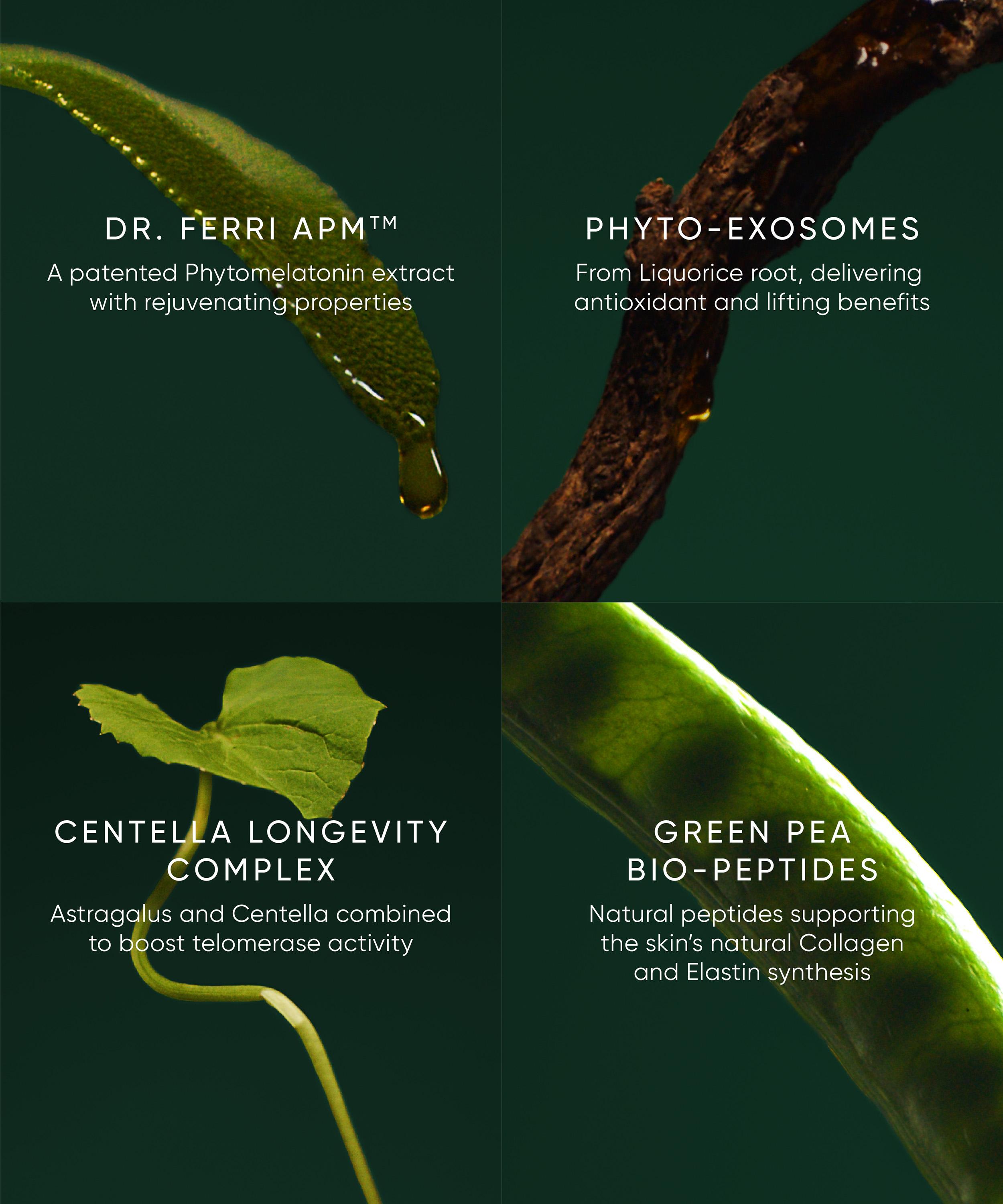 Irene Forte - Phytomelatonin Rejuvenating Eye Cream 15ml image number 3