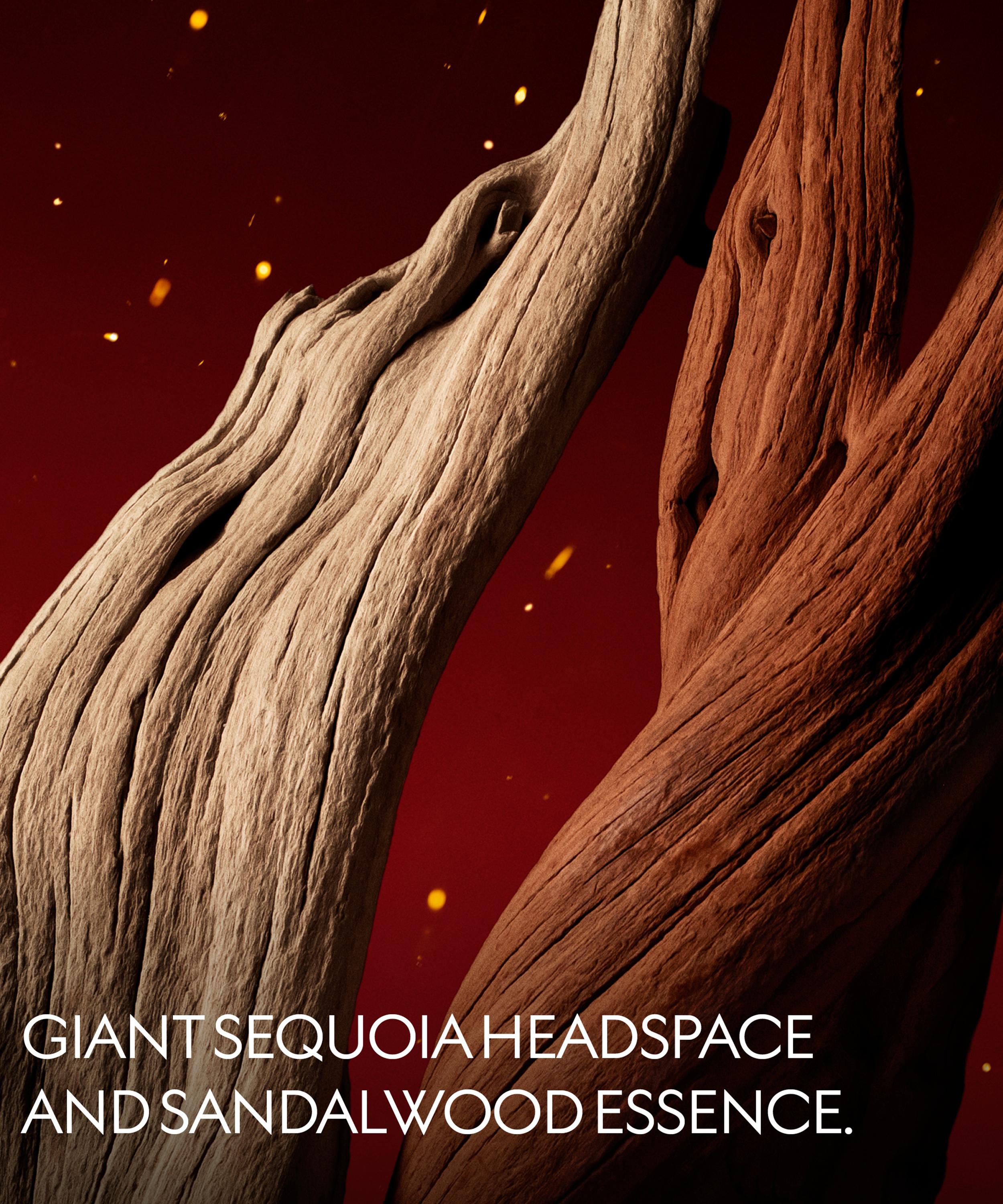 Gucci - Lignum Idealis Eau de Parfum 50ml image number 3