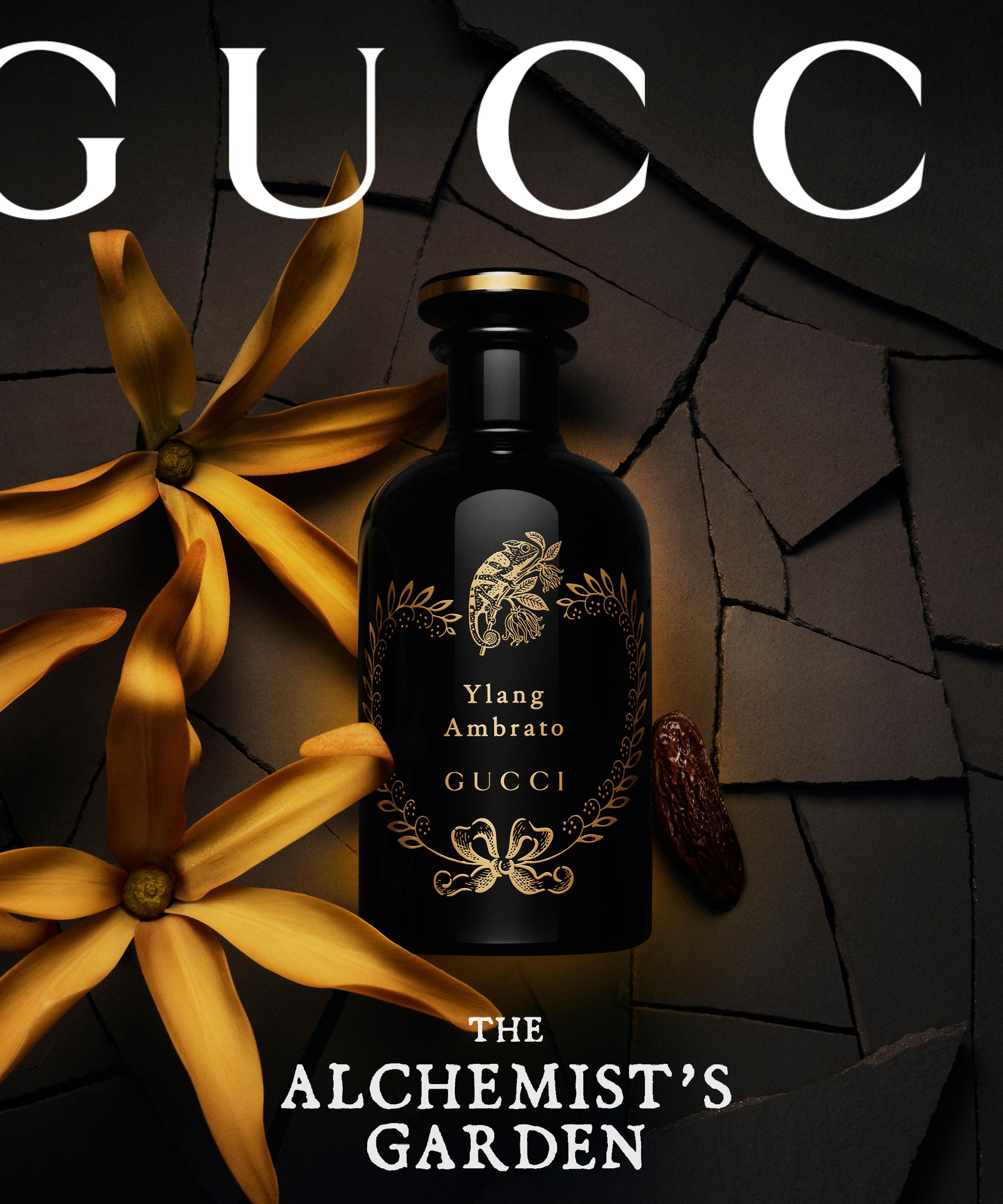 Gucci - Ylang Ambrato Eau de Parfum 50ml image number 2