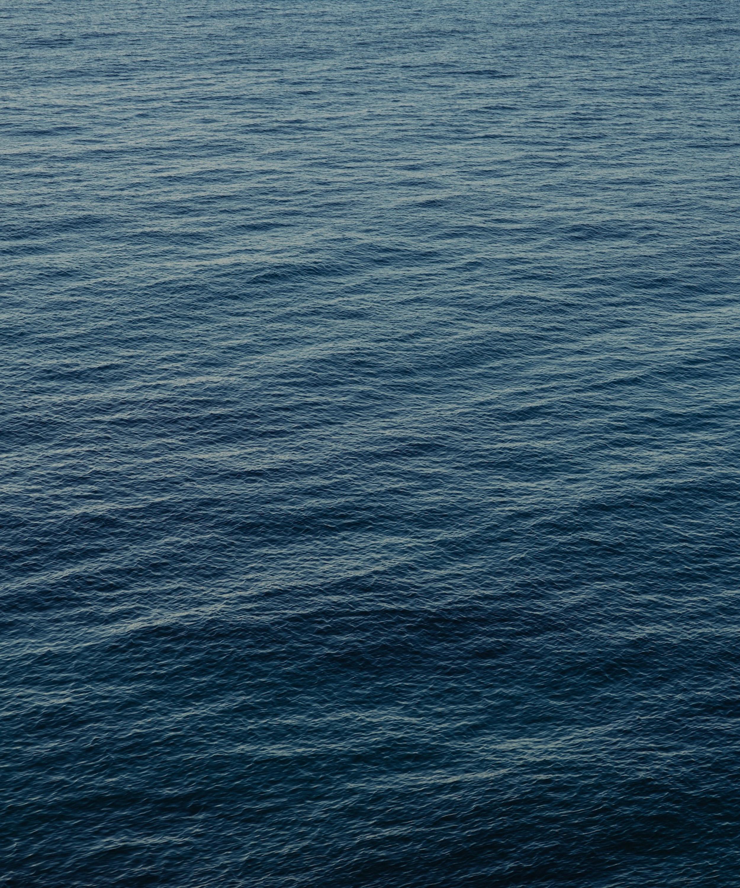 Maison Monravel - Jardin d'Embruns Scented Botanical Candle 240g image number 1