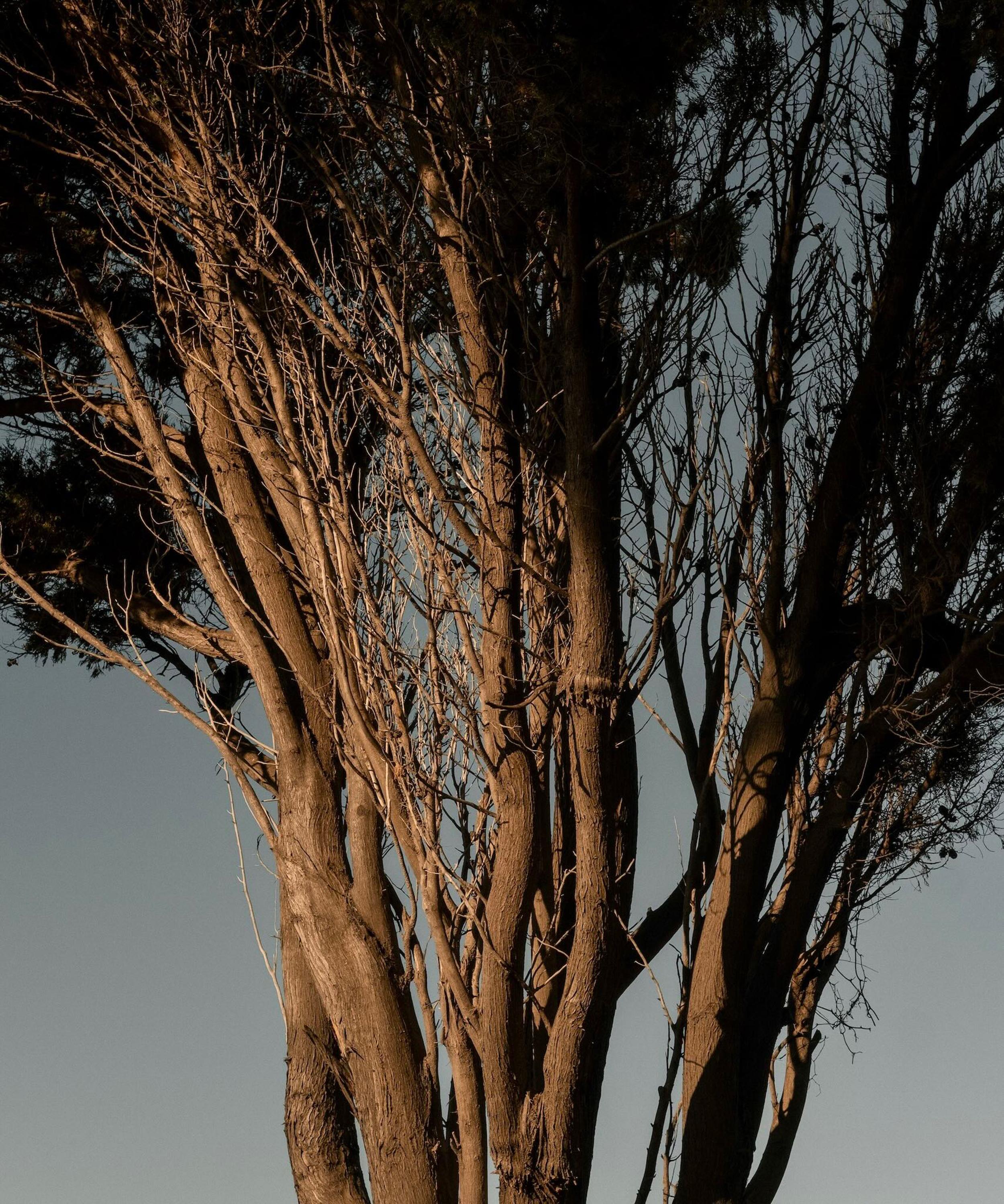 Maison Monravel - &Eacute;clat du Kerala Scented Stone Box Set image number 1