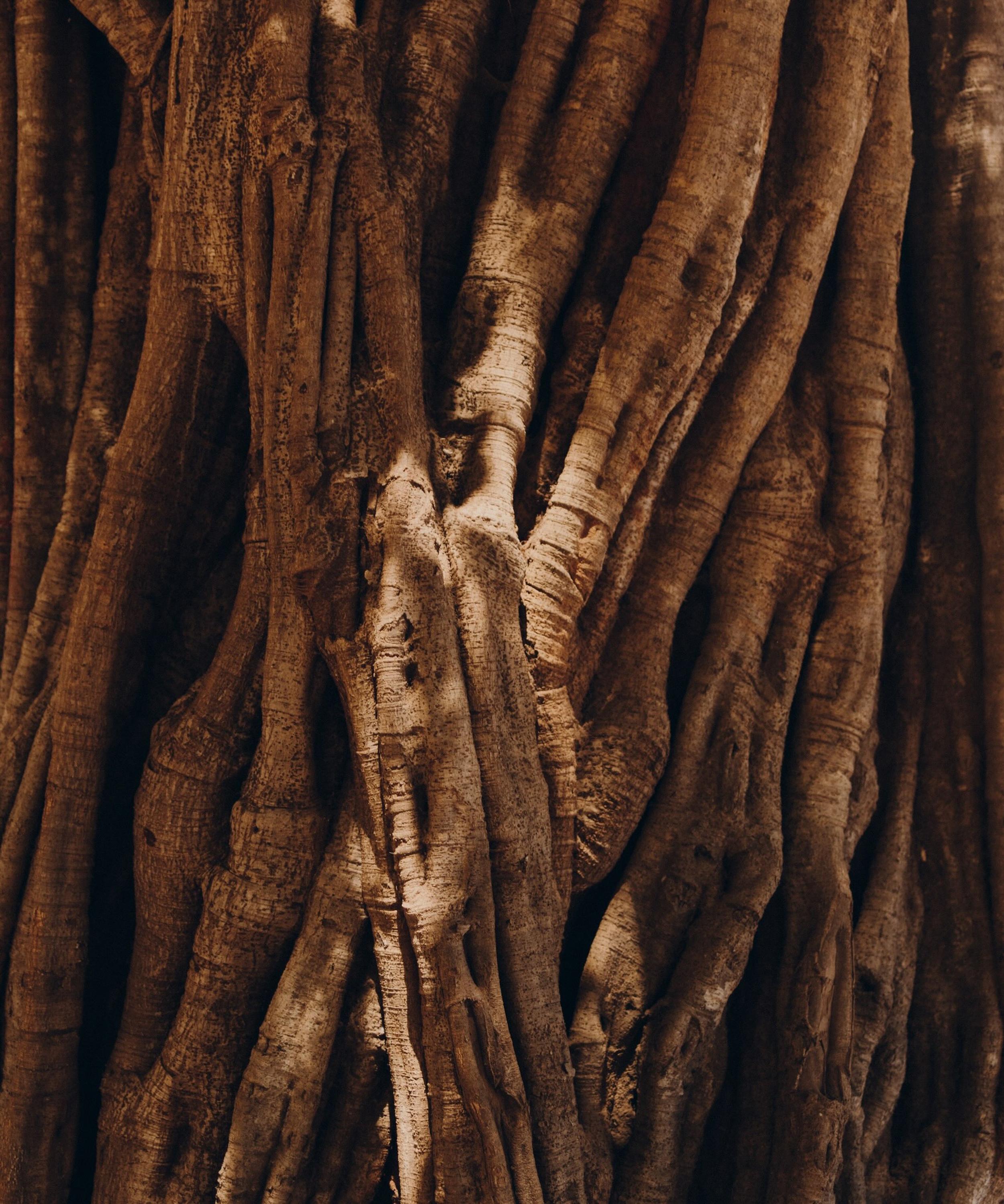 Maison Monravel - Jardin d'Embruns Scented Stone Box Set image number 1