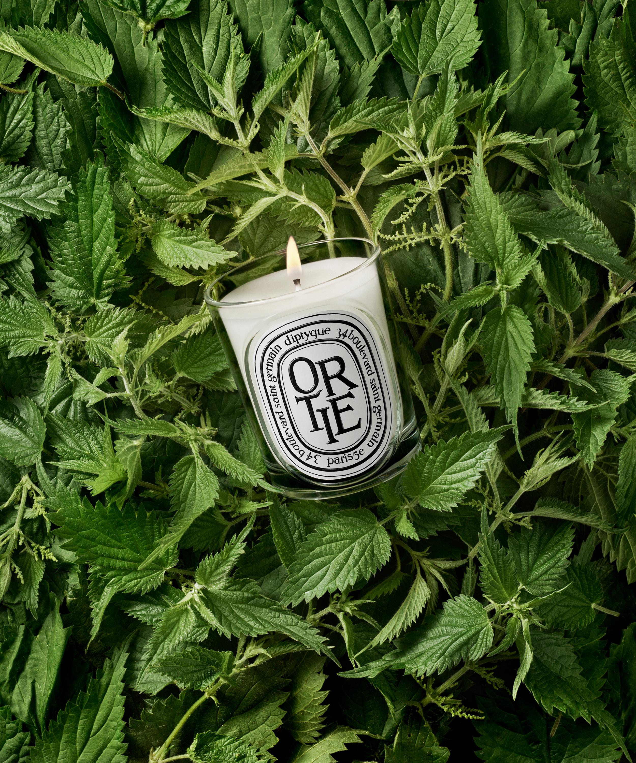 Diptyque - Ortie Scented Candle 190g image number 2