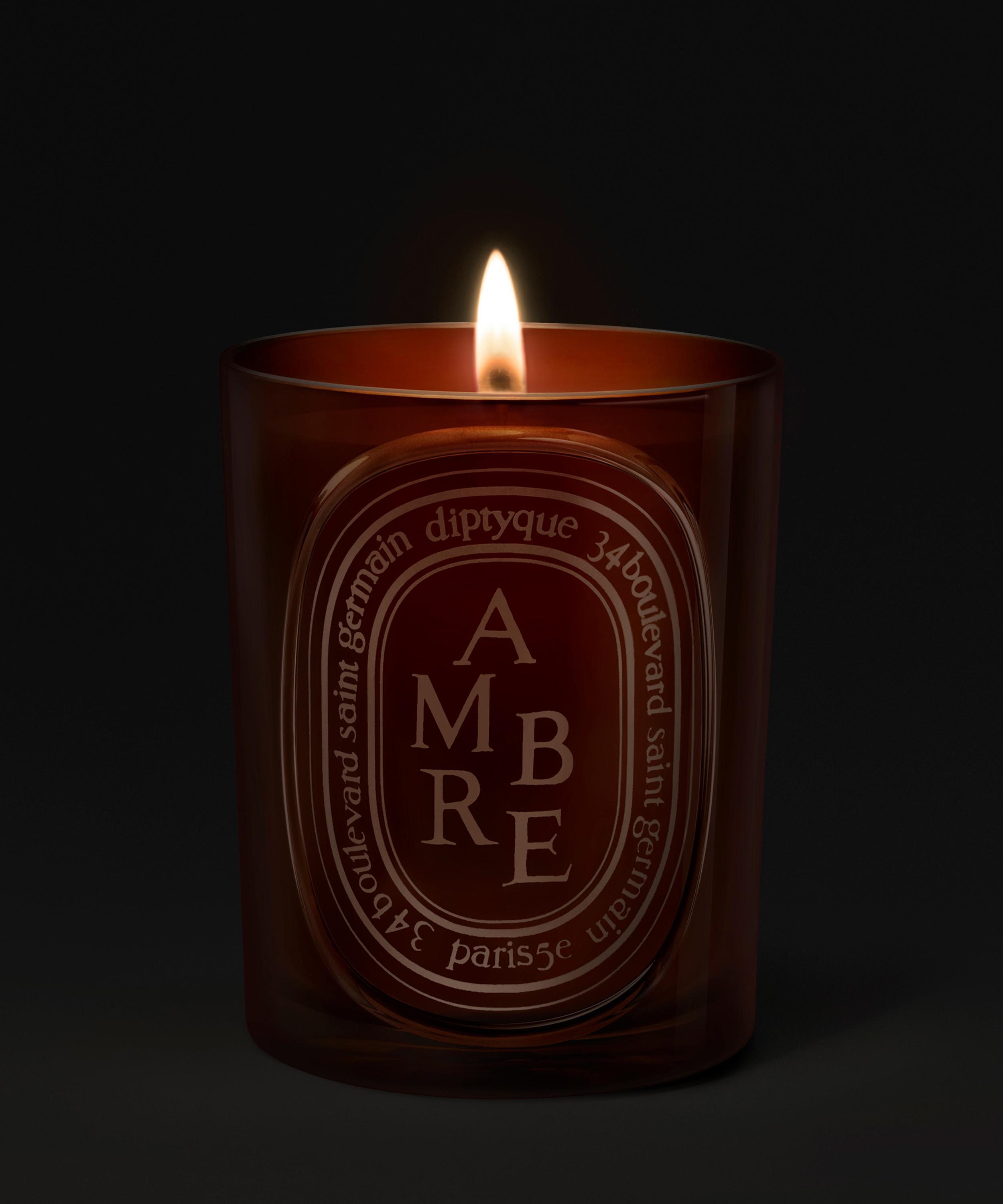 Diptyque - Ambre Scented Candle 300g image number 1