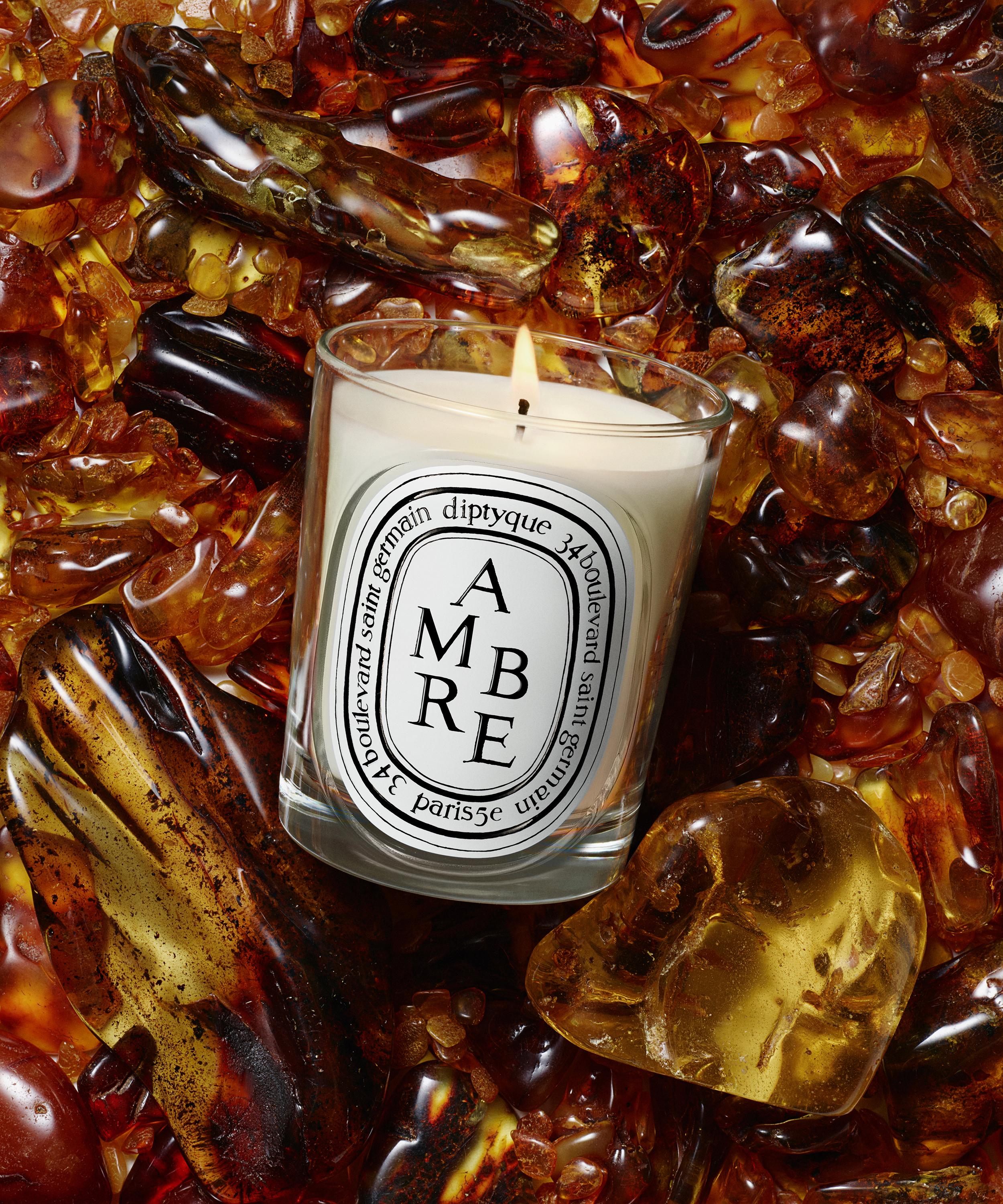 Diptyque - Ambre Scented Candle 190g image number 1