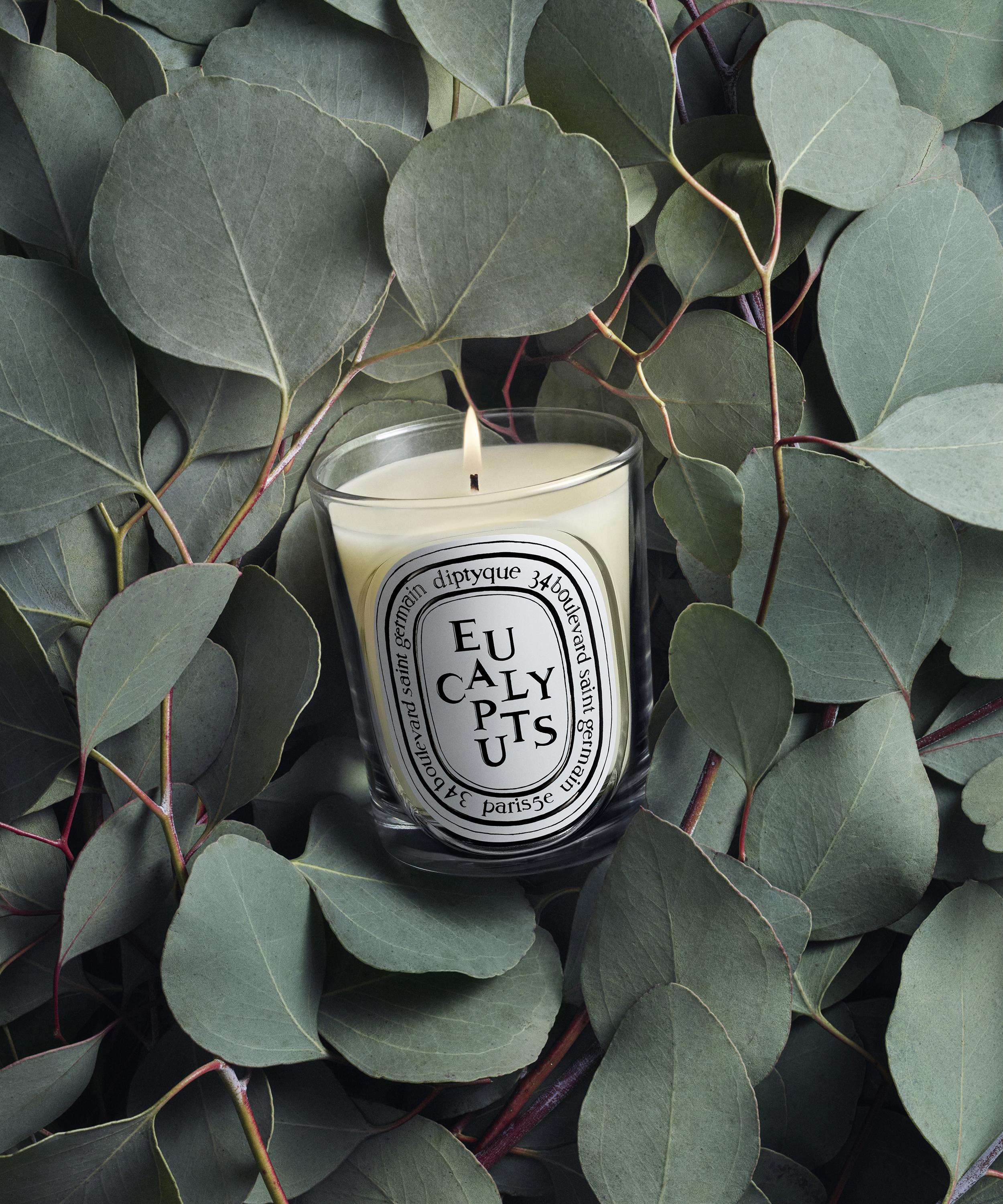 Diptyque - Eucalyptus Scented Candle 190g image number 1