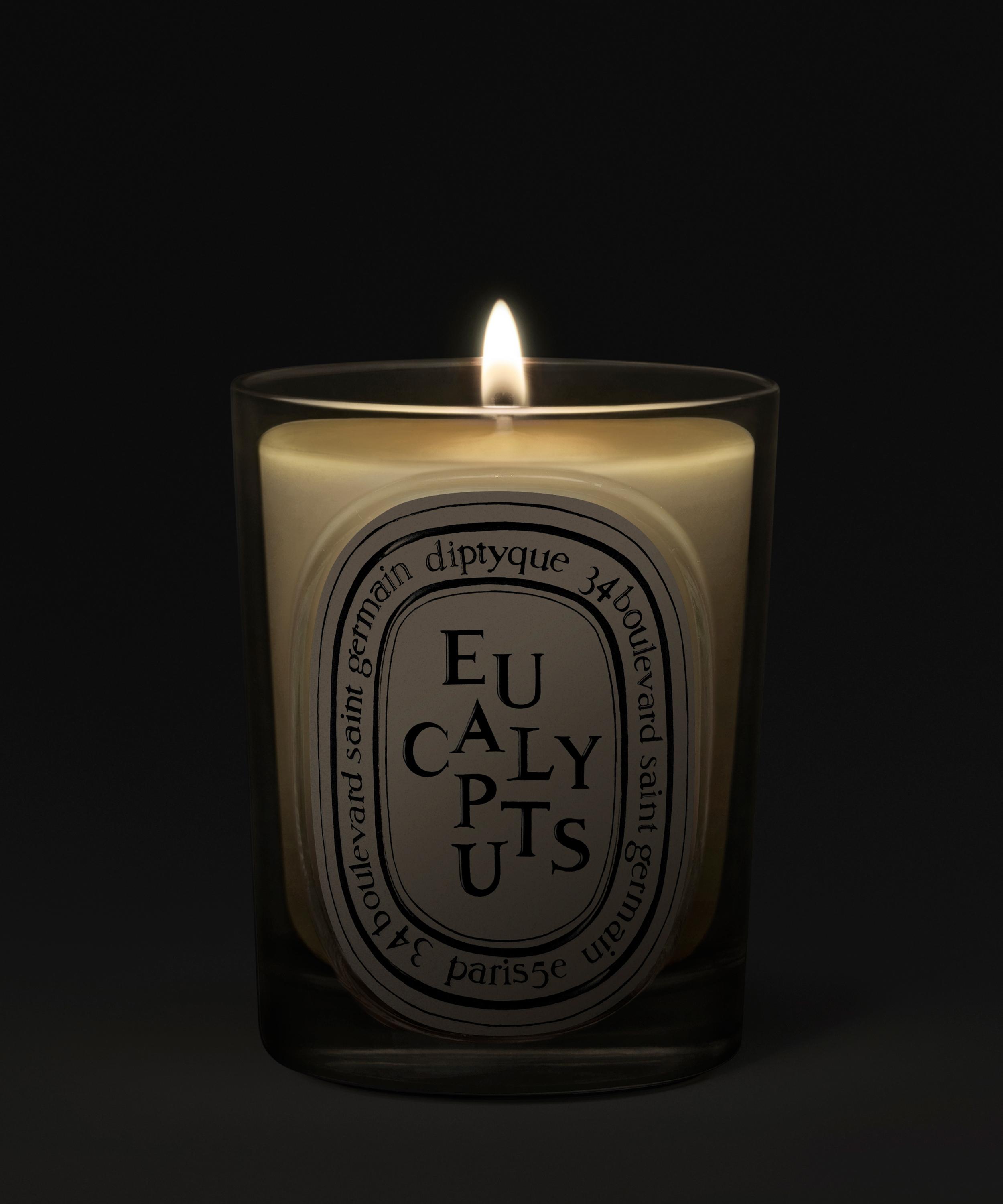Diptyque - Eucalyptus Scented Candle 190g image number 2