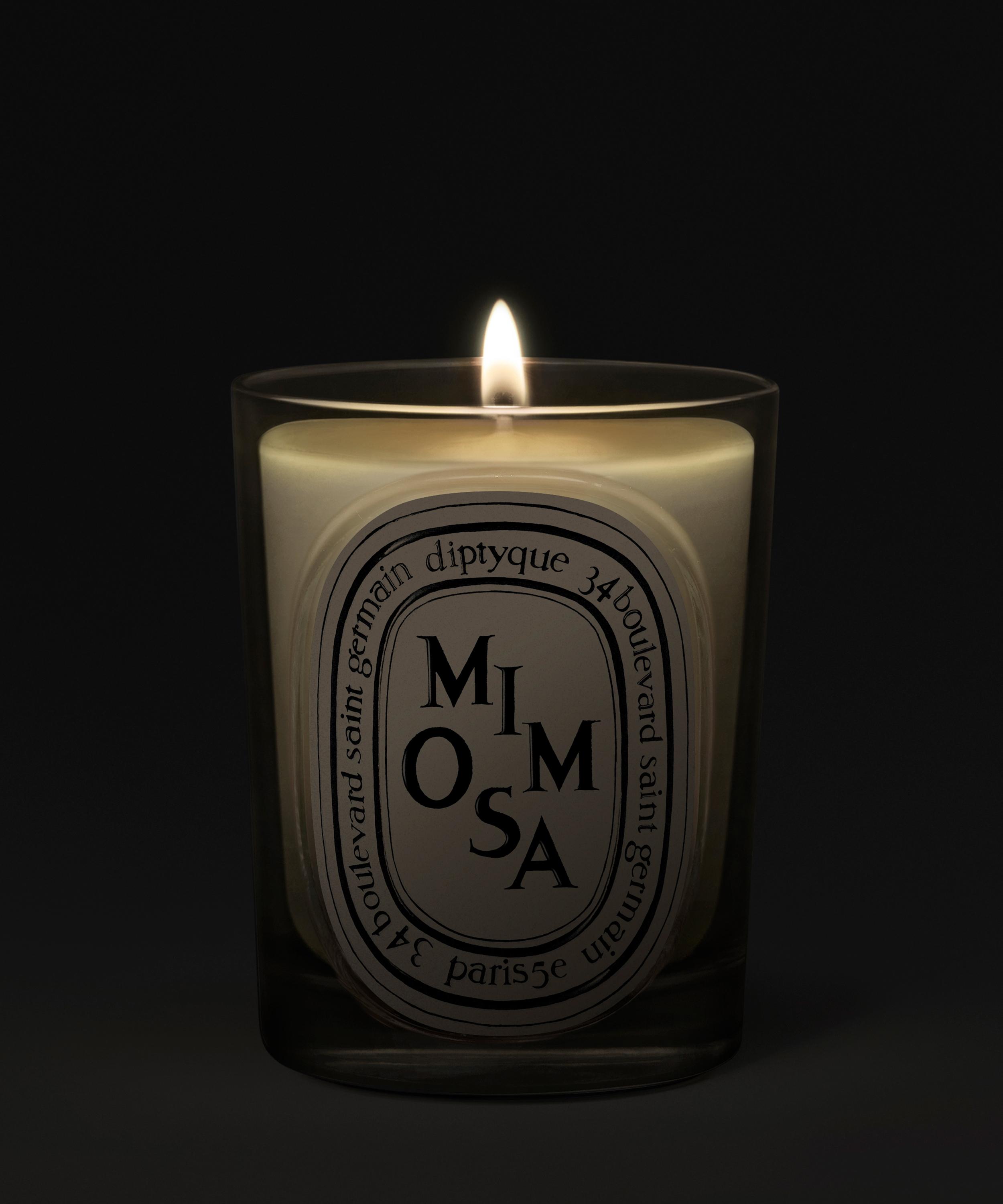 Diptyque - Mimosa Scented Candle 190g image number 1