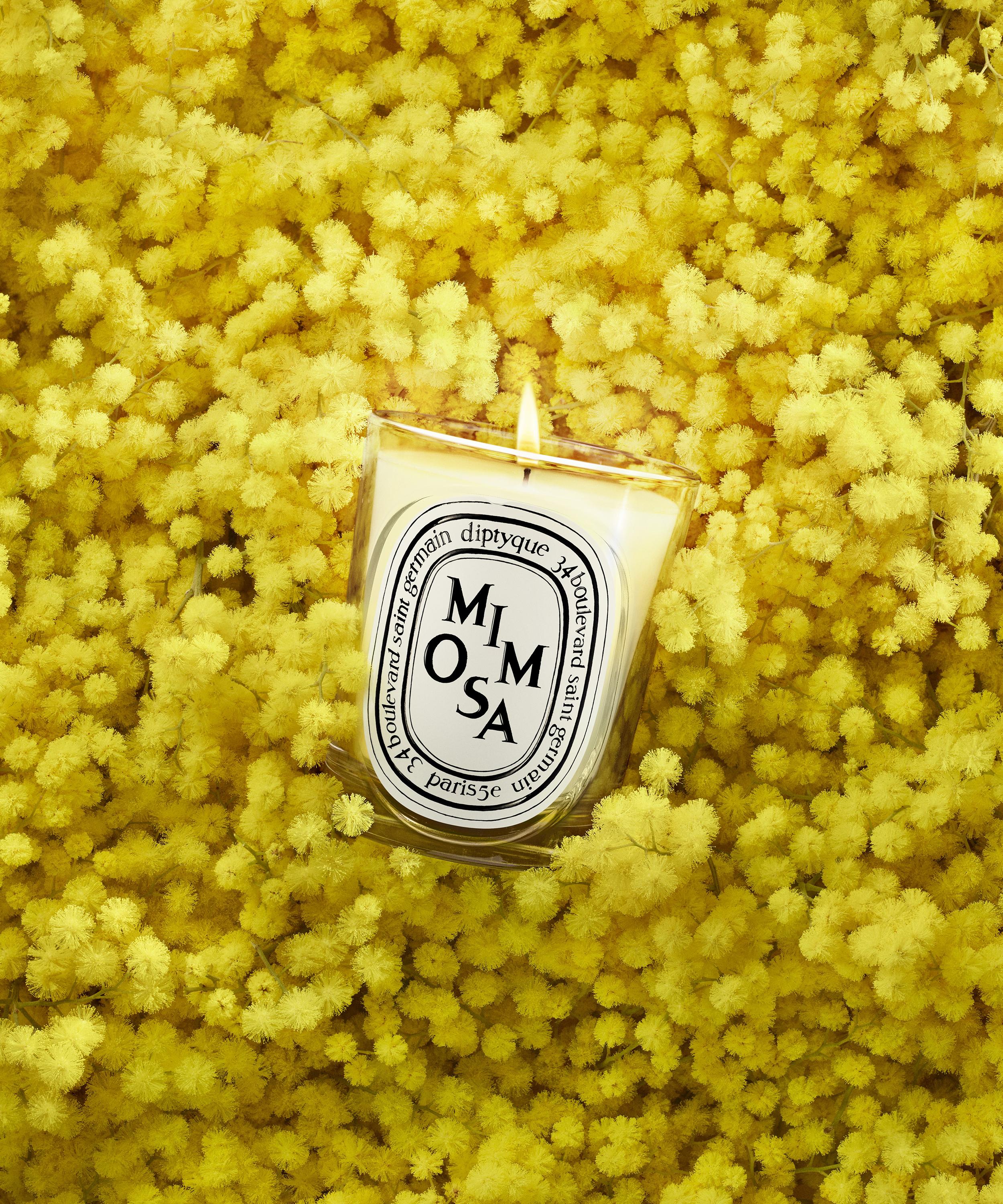 Diptyque - Mimosa Scented Candle 190g image number 2