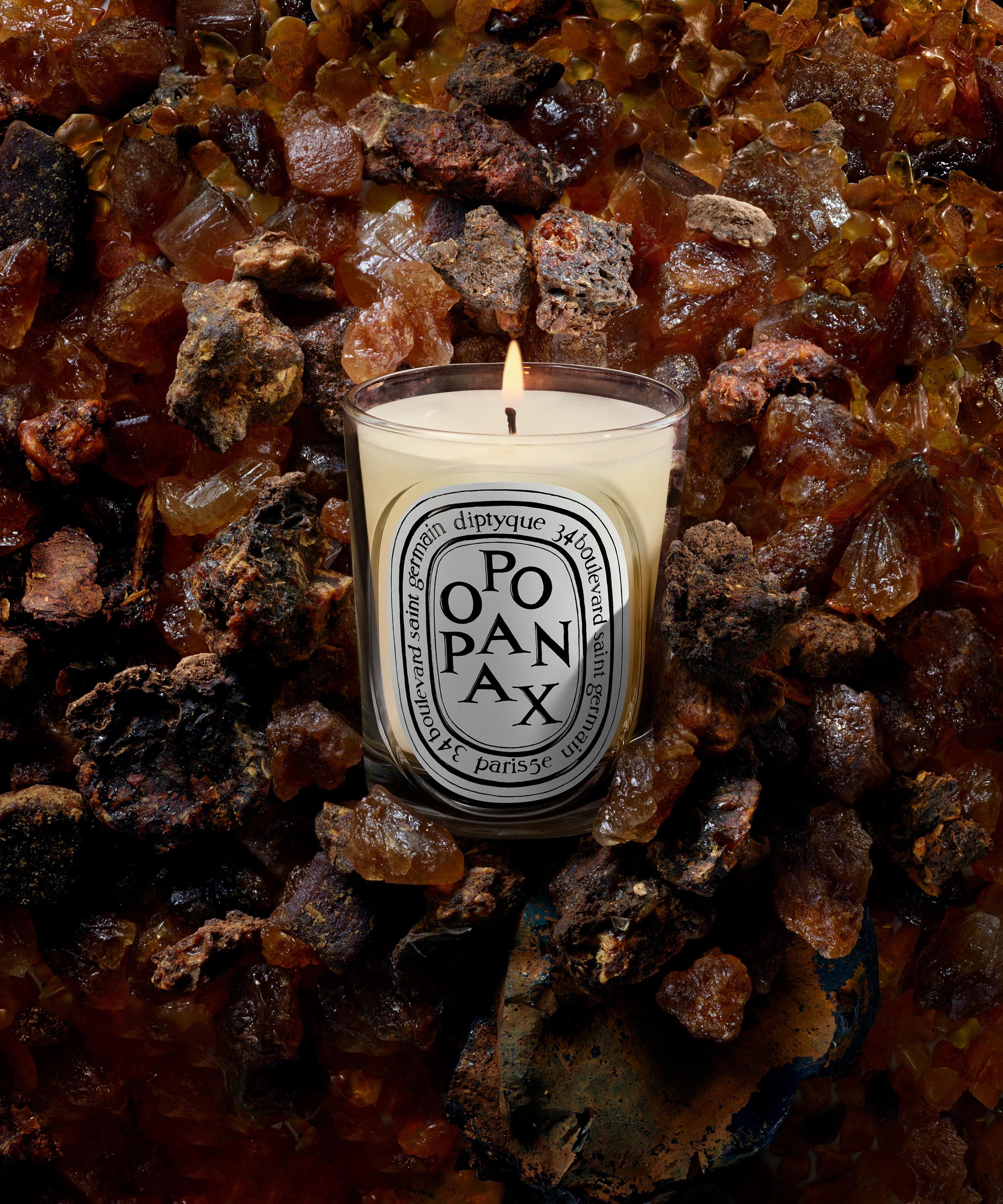 Diptyque - Opopanax Scented Candle 190g image number 2