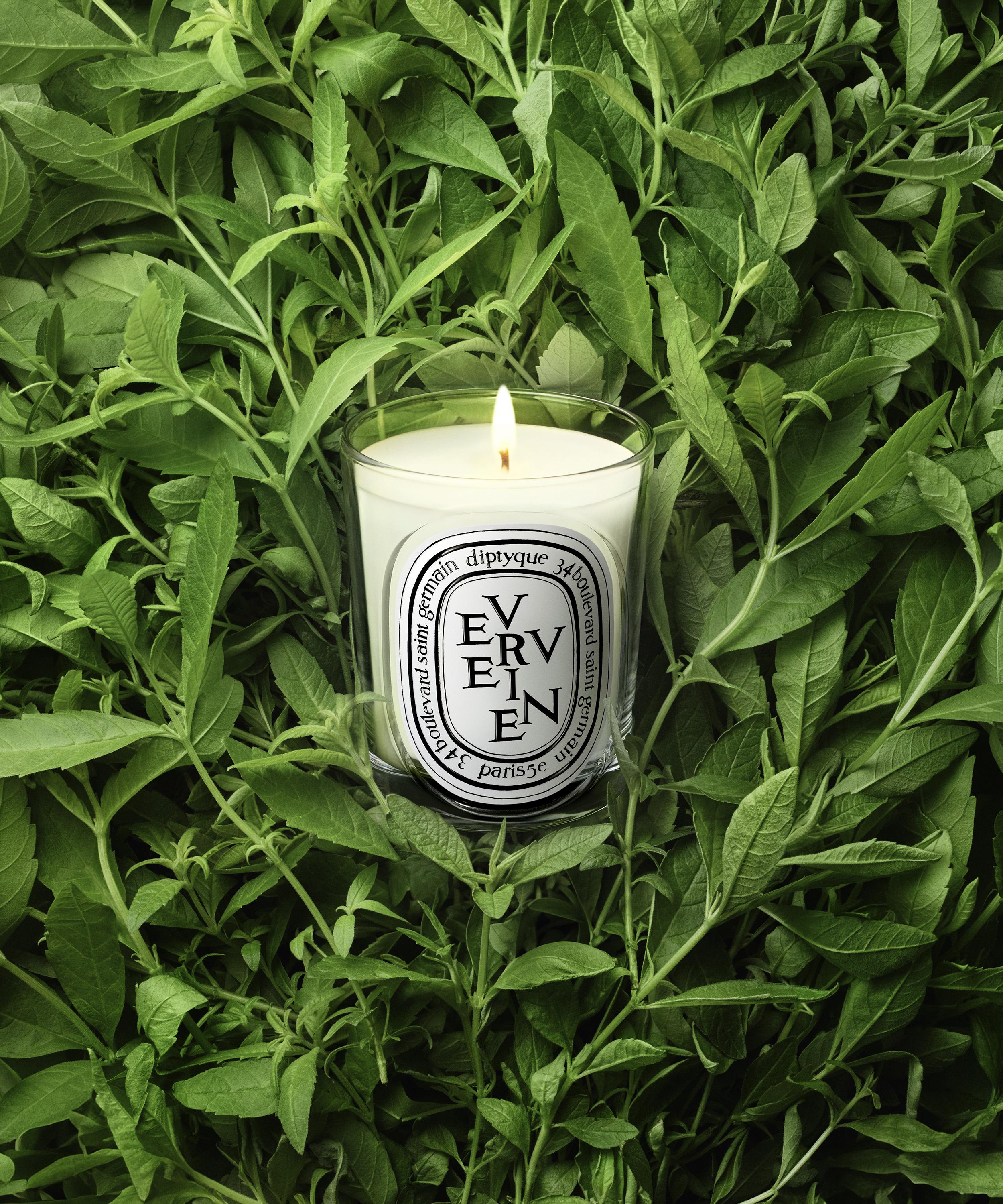 Diptyque - Verveine Scented Candle 190g image number 1