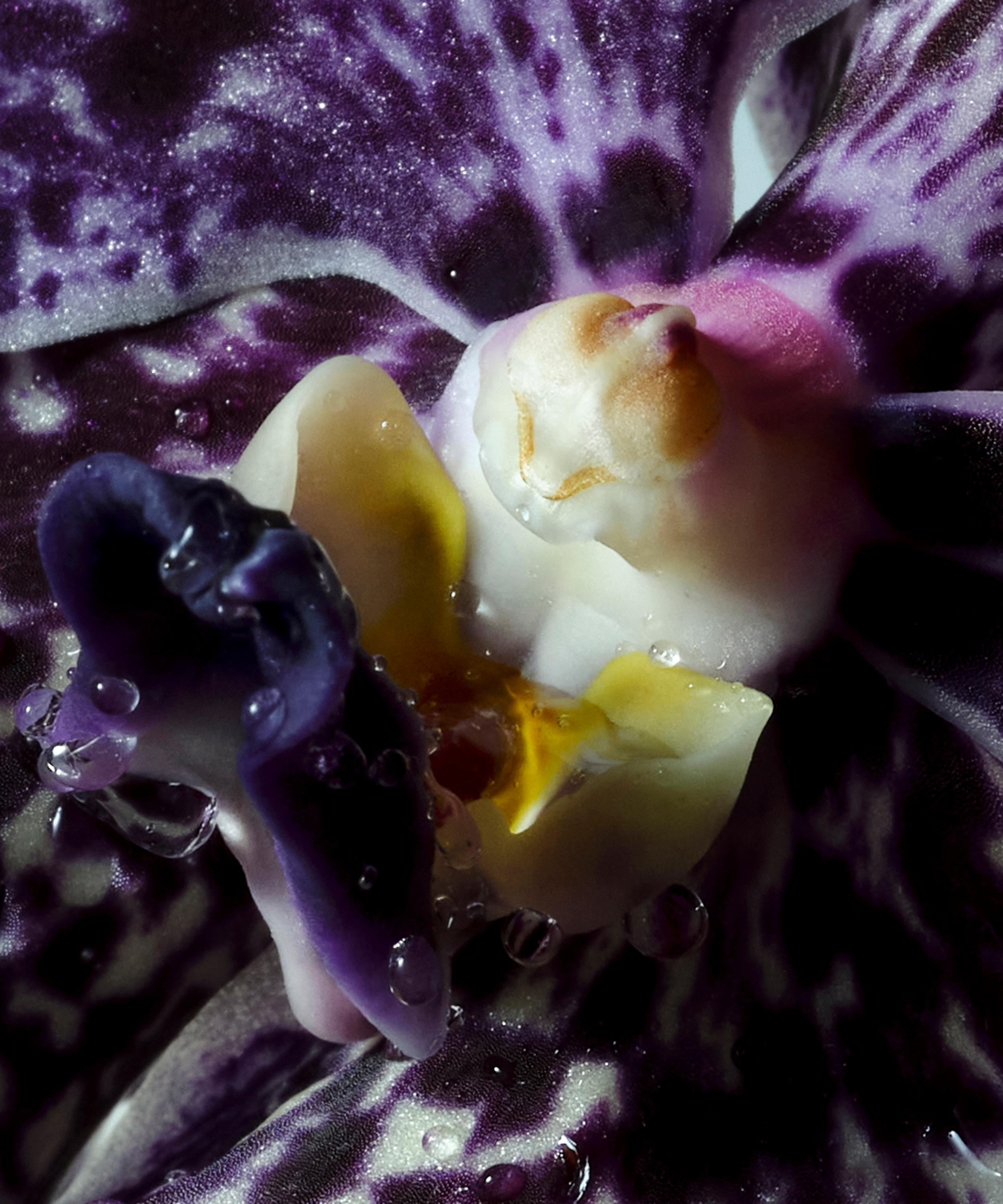 Dries Van Noten - Soie and Amber Liquid Soap Refill 400ml image number 2