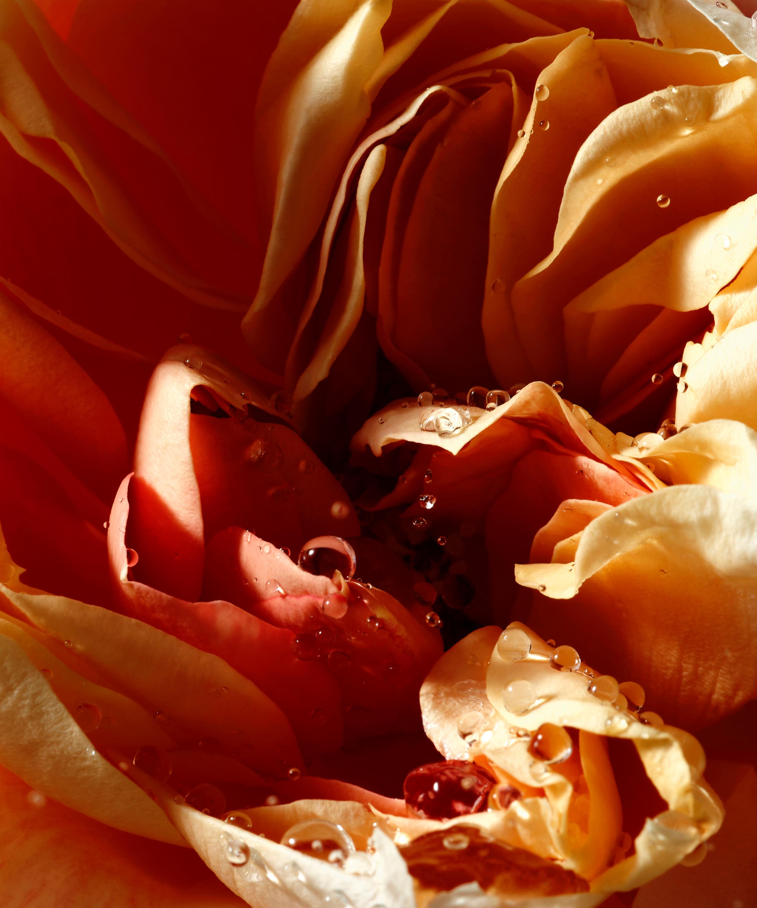 Dries Van Noten - Pepper and Rose Liquid Soap Refill 400ml image number 2