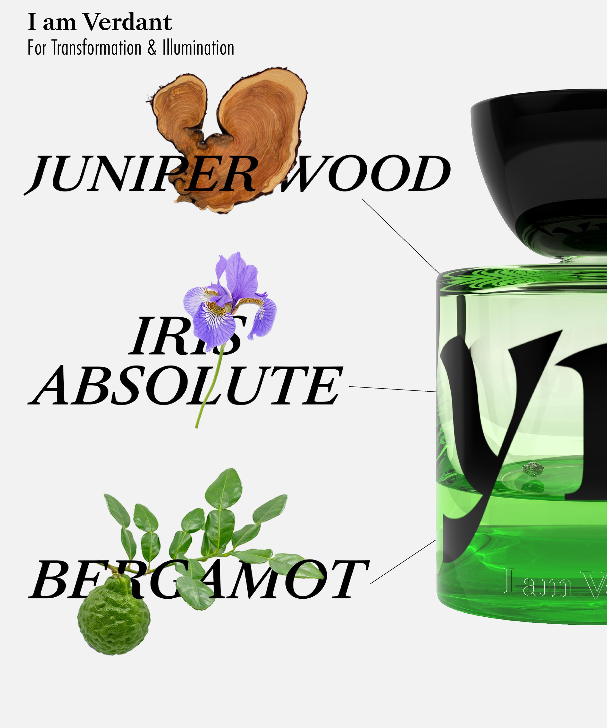 Vyrao - I Am Verdant Eau de Parfum 50ml image number 3
