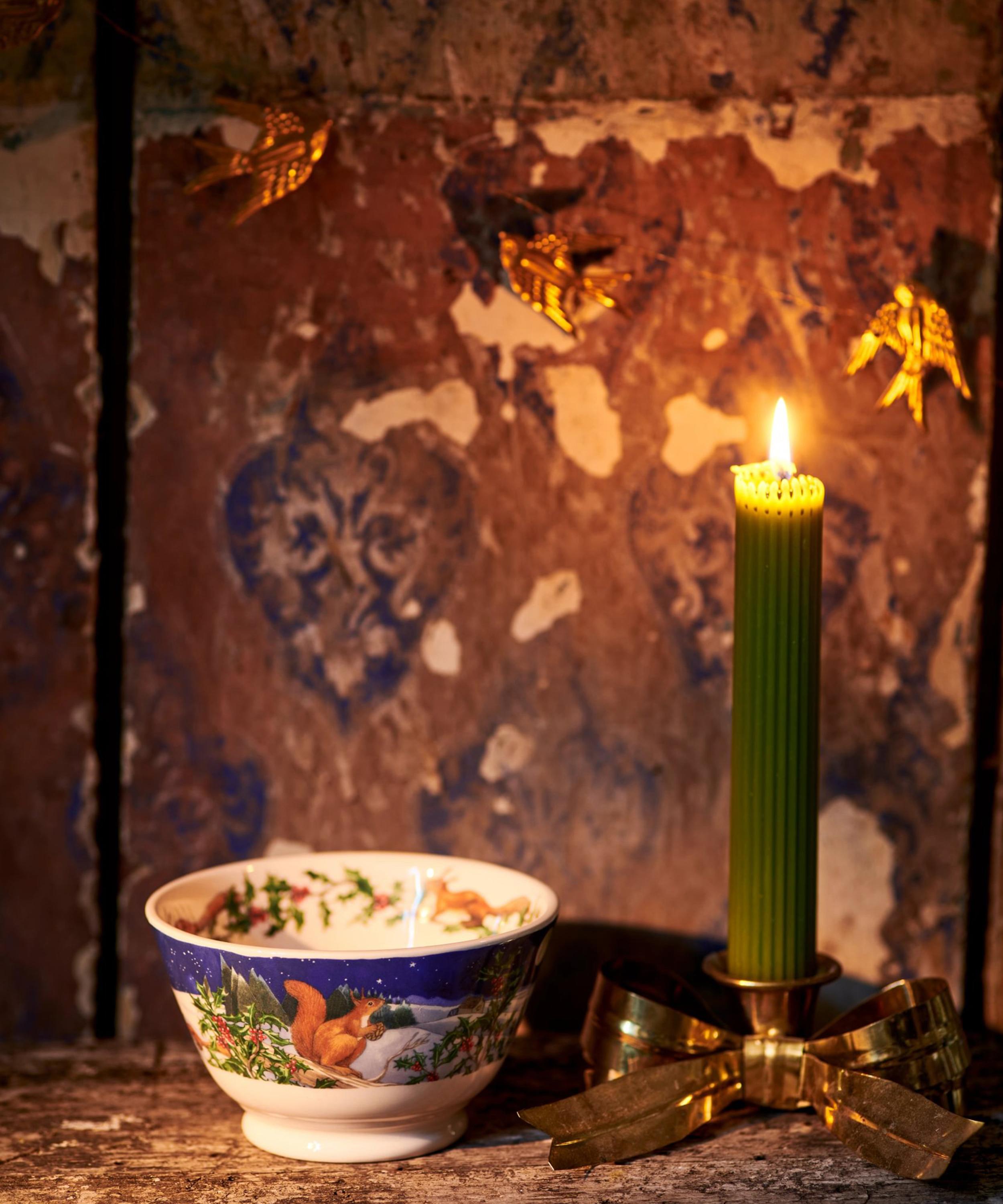 Emma Bridgewater - Midnight Squirrel Small Old Bowl image number 1