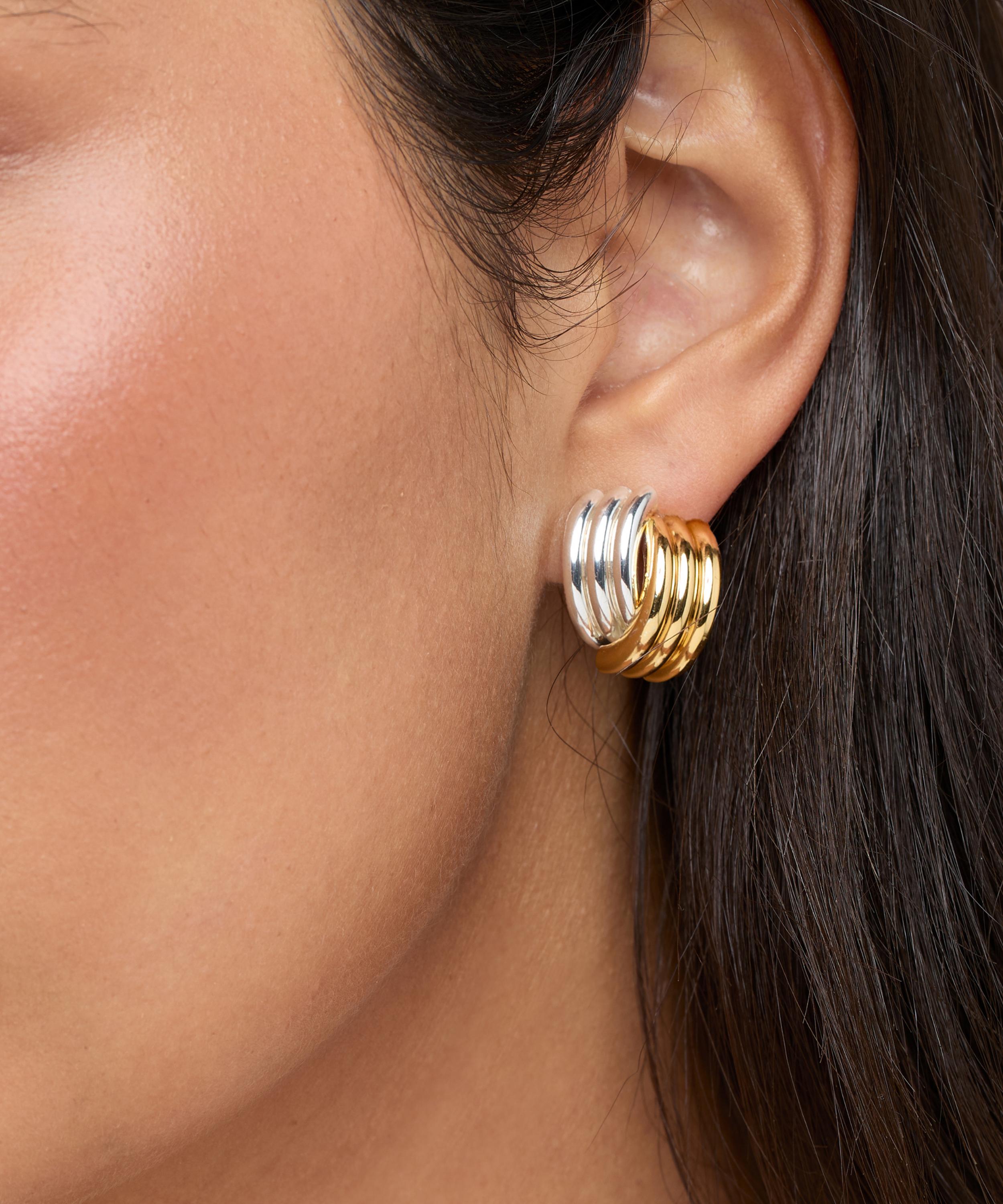 Heaven Mayhem - Mixed Metal Clove Stud Earrings image number 1